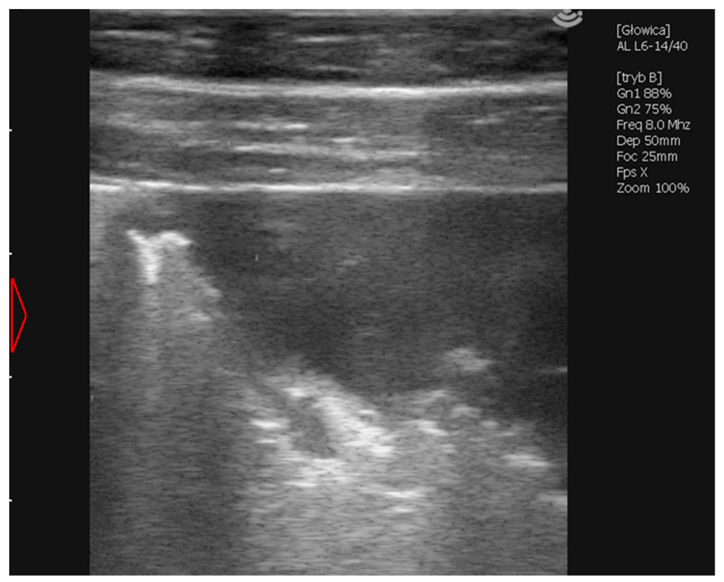 Vetsci 09 00605 g001 Vetsci 09 00605 g001