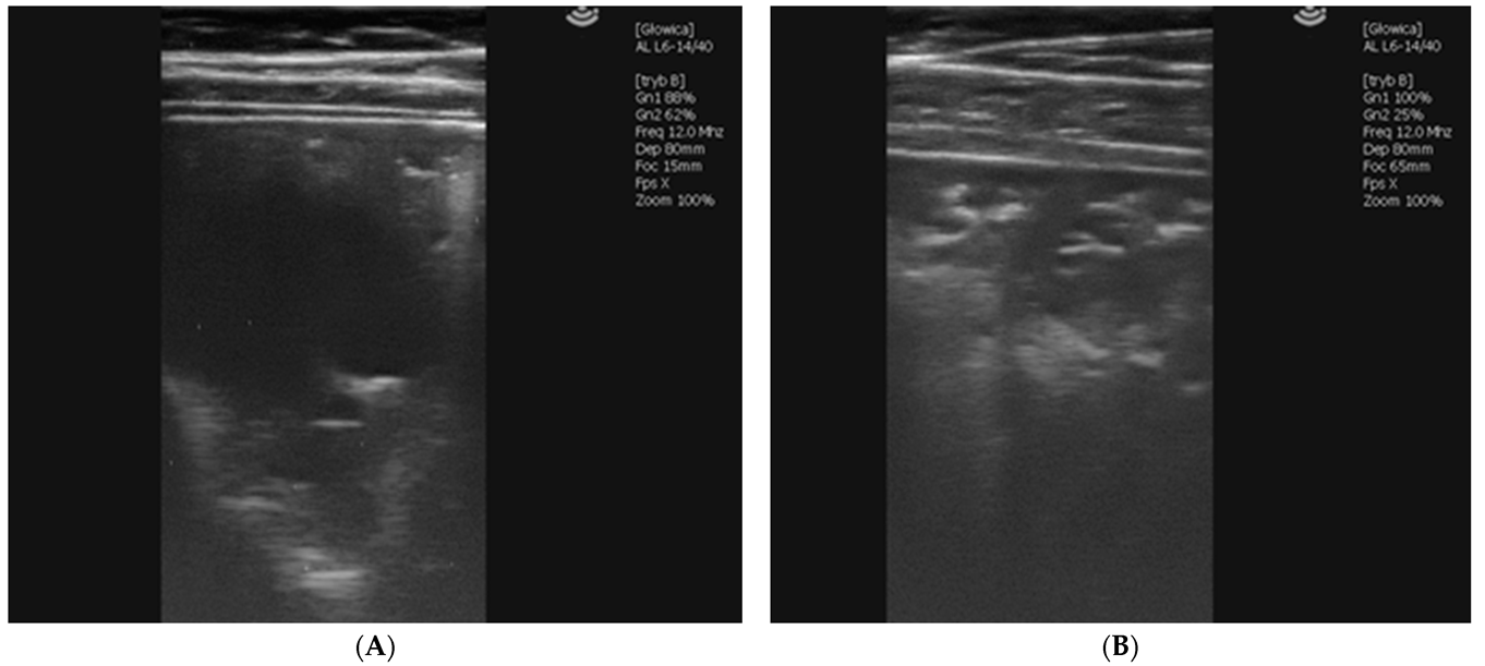 Vetsci 09 00605 g004 Vetsci 09 00605 g004