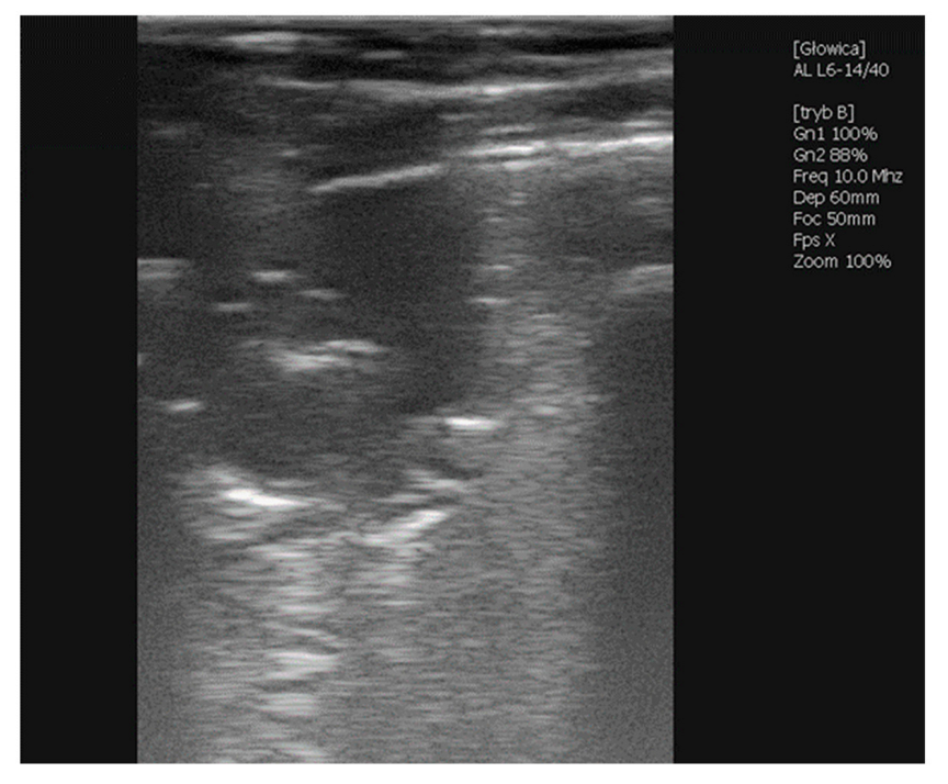 Vetsci 09 00605 g005 Vetsci 09 00605 g005
