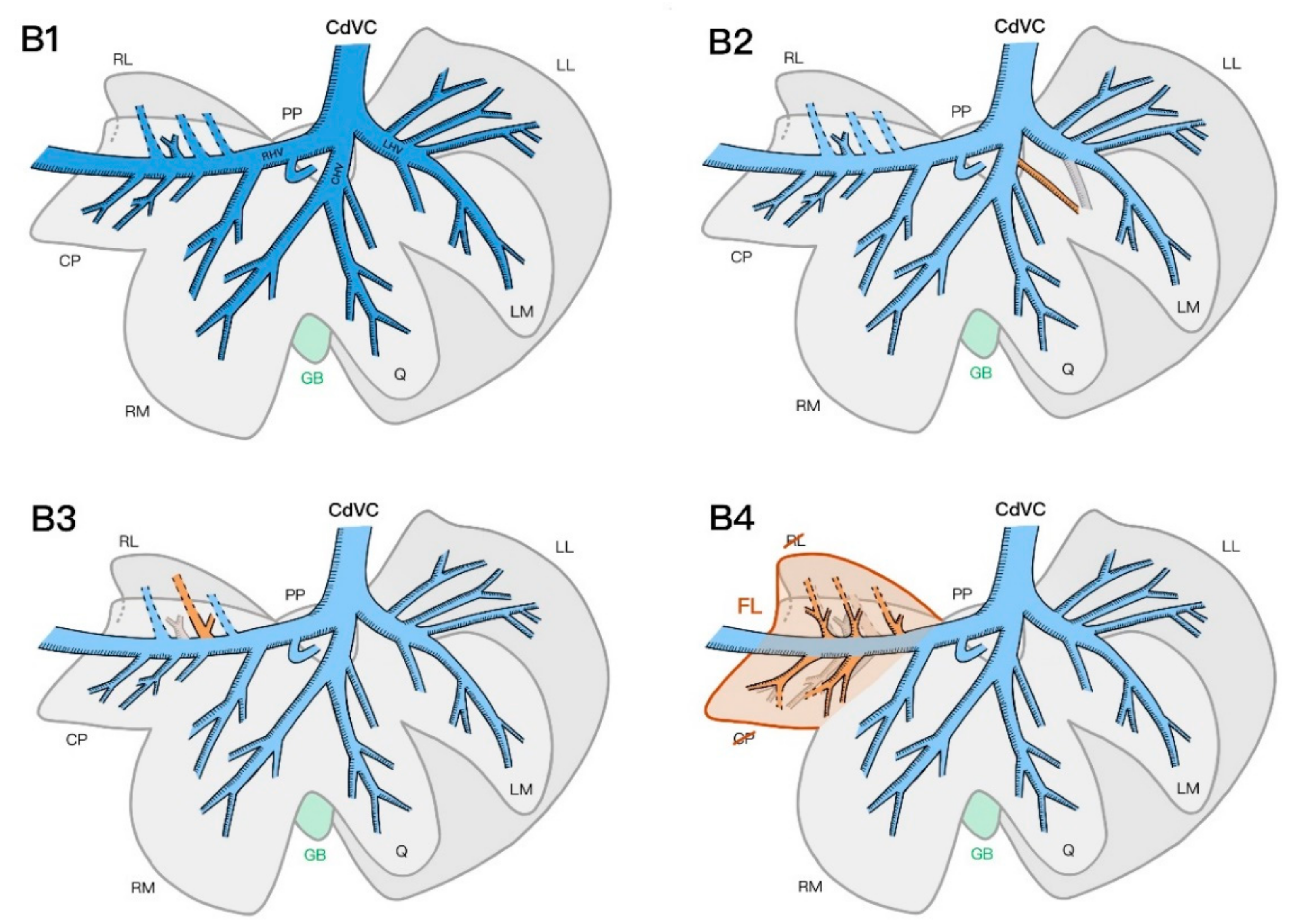 Vetsci 09 00607 g004