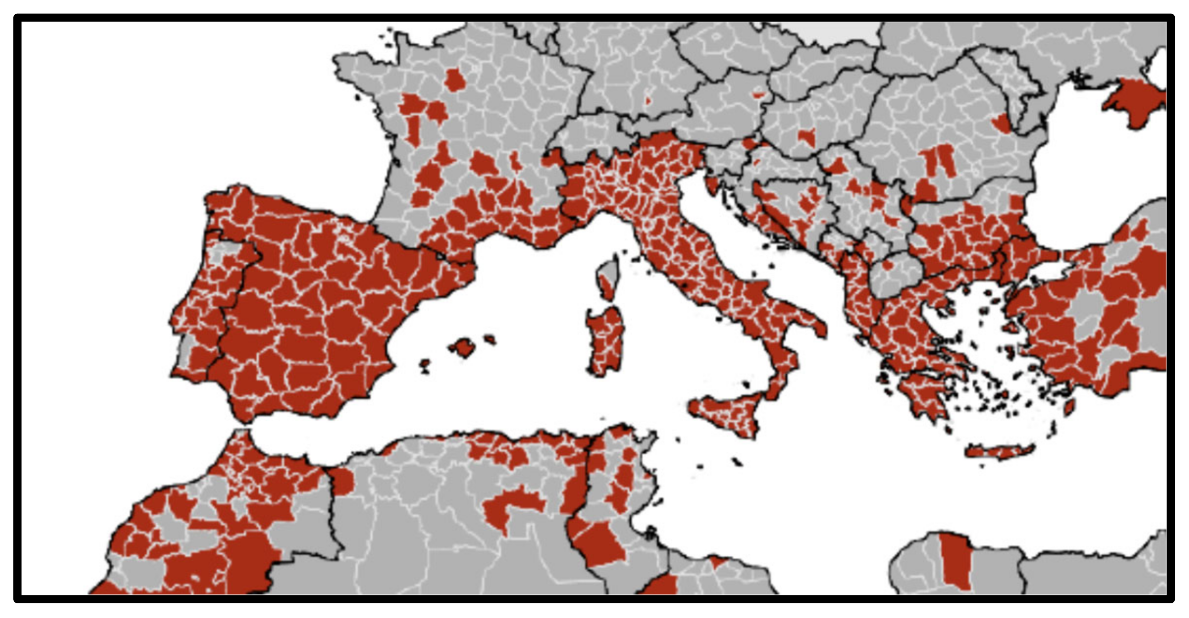 Vetsci 09 00608 g002