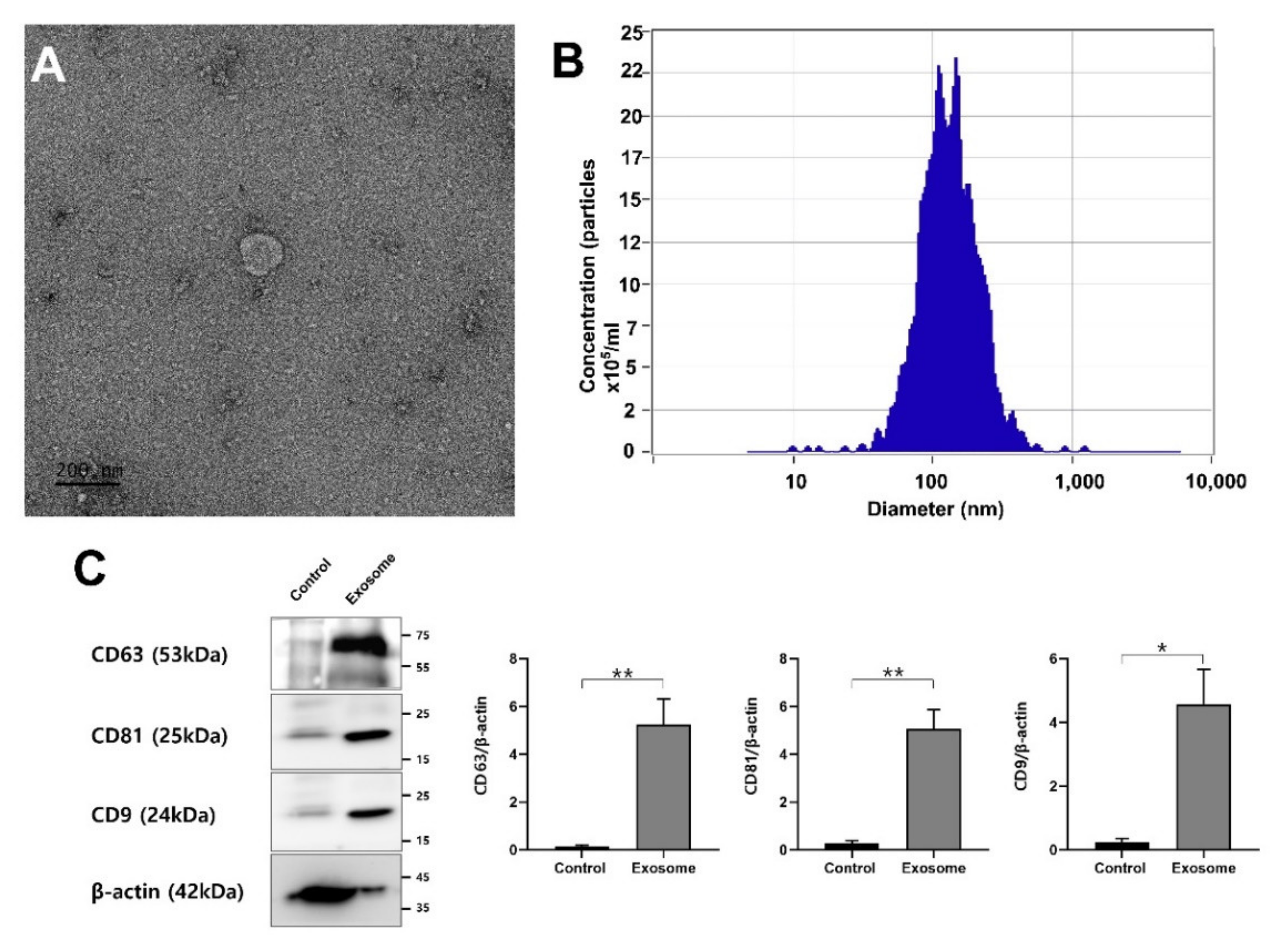 Vetsci 09 00609 g001
