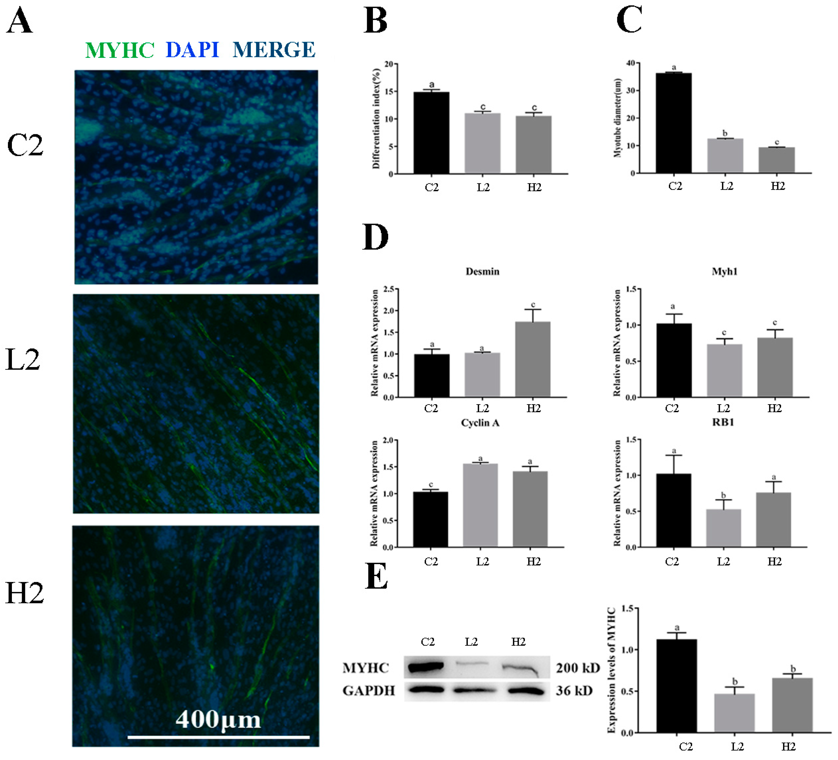 Vetsci 09 00615 g003 Vetsci 09 00615 g003