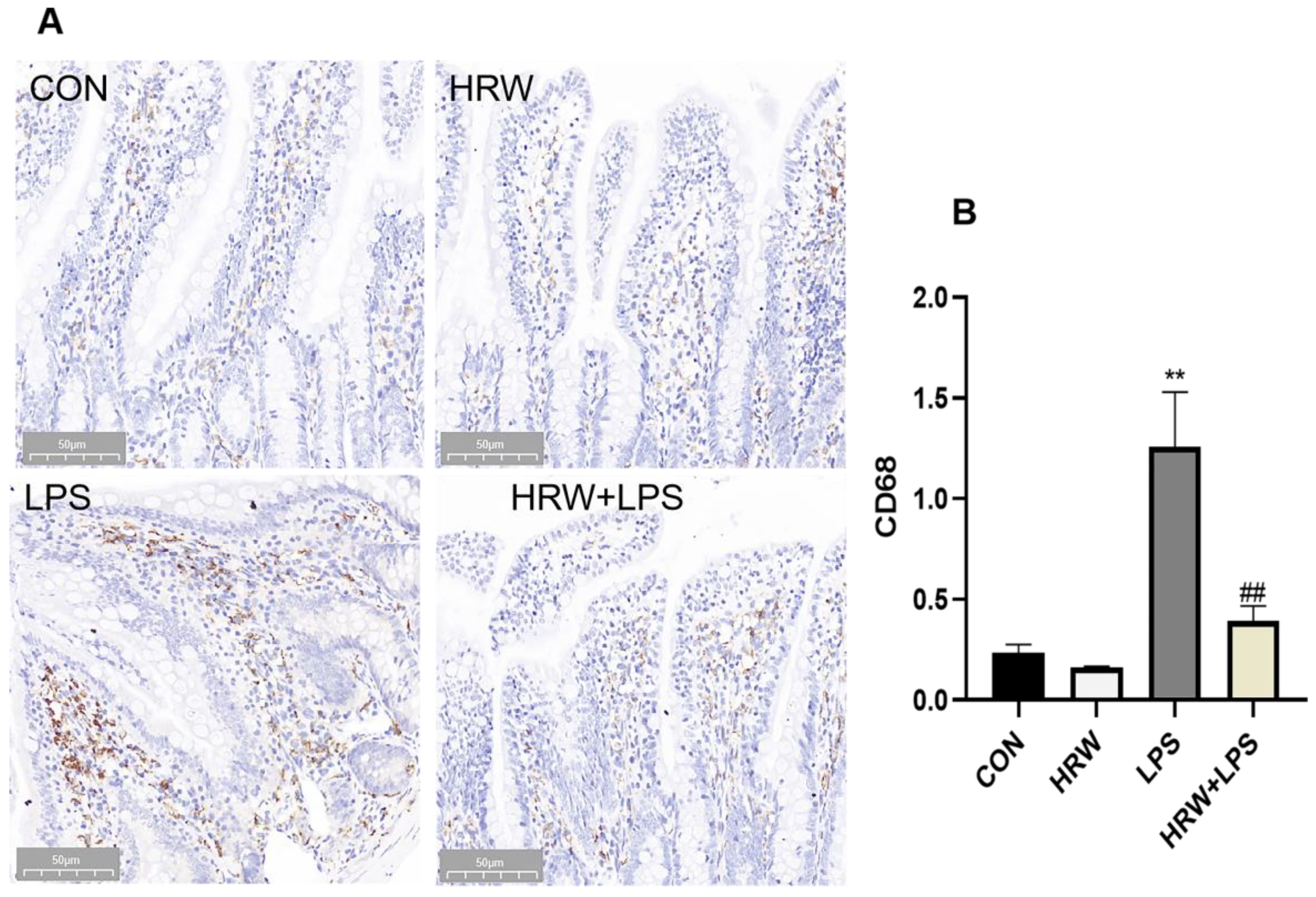 Vetsci 09 00621 g003