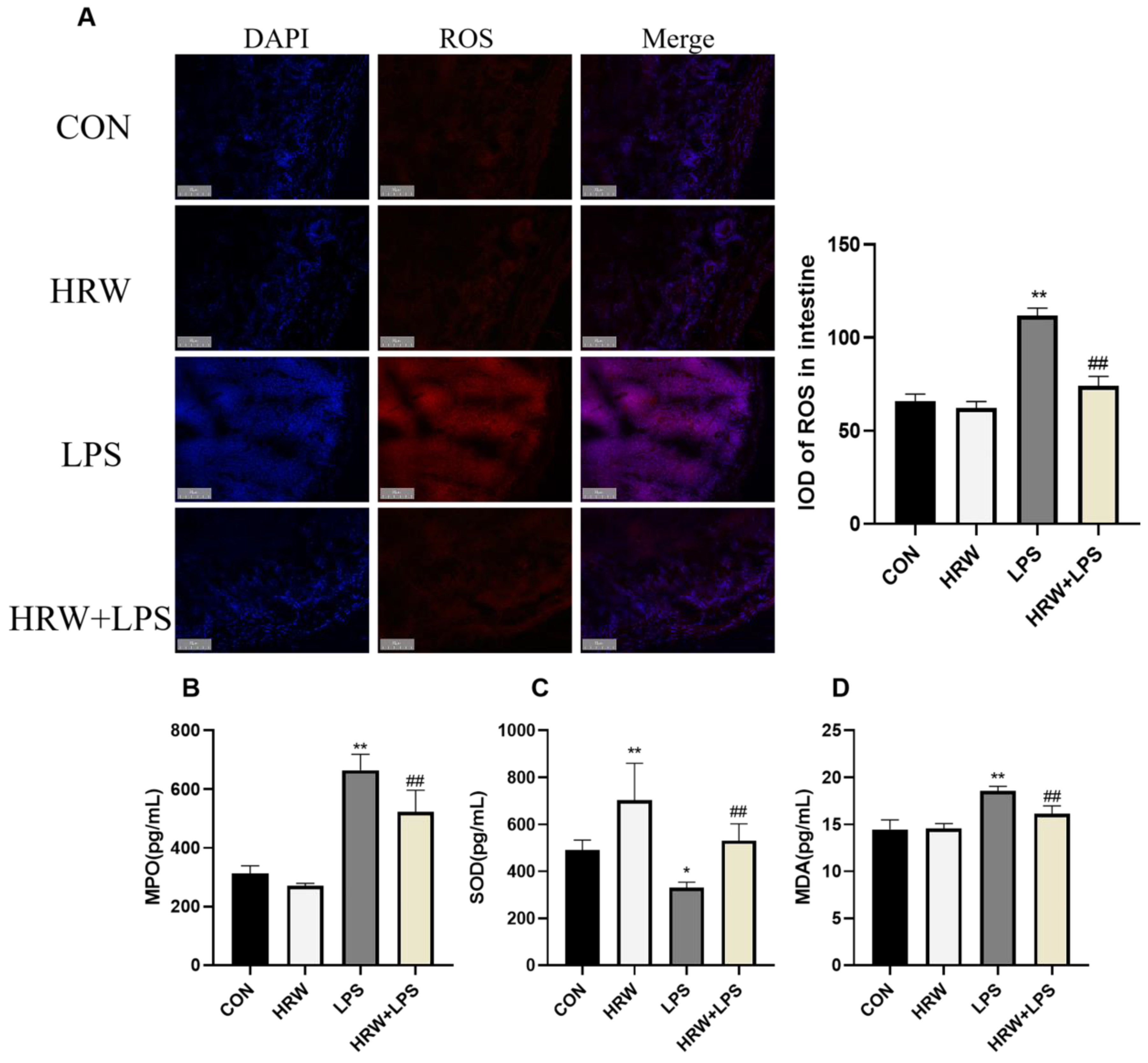 Vetsci 09 00621 g005