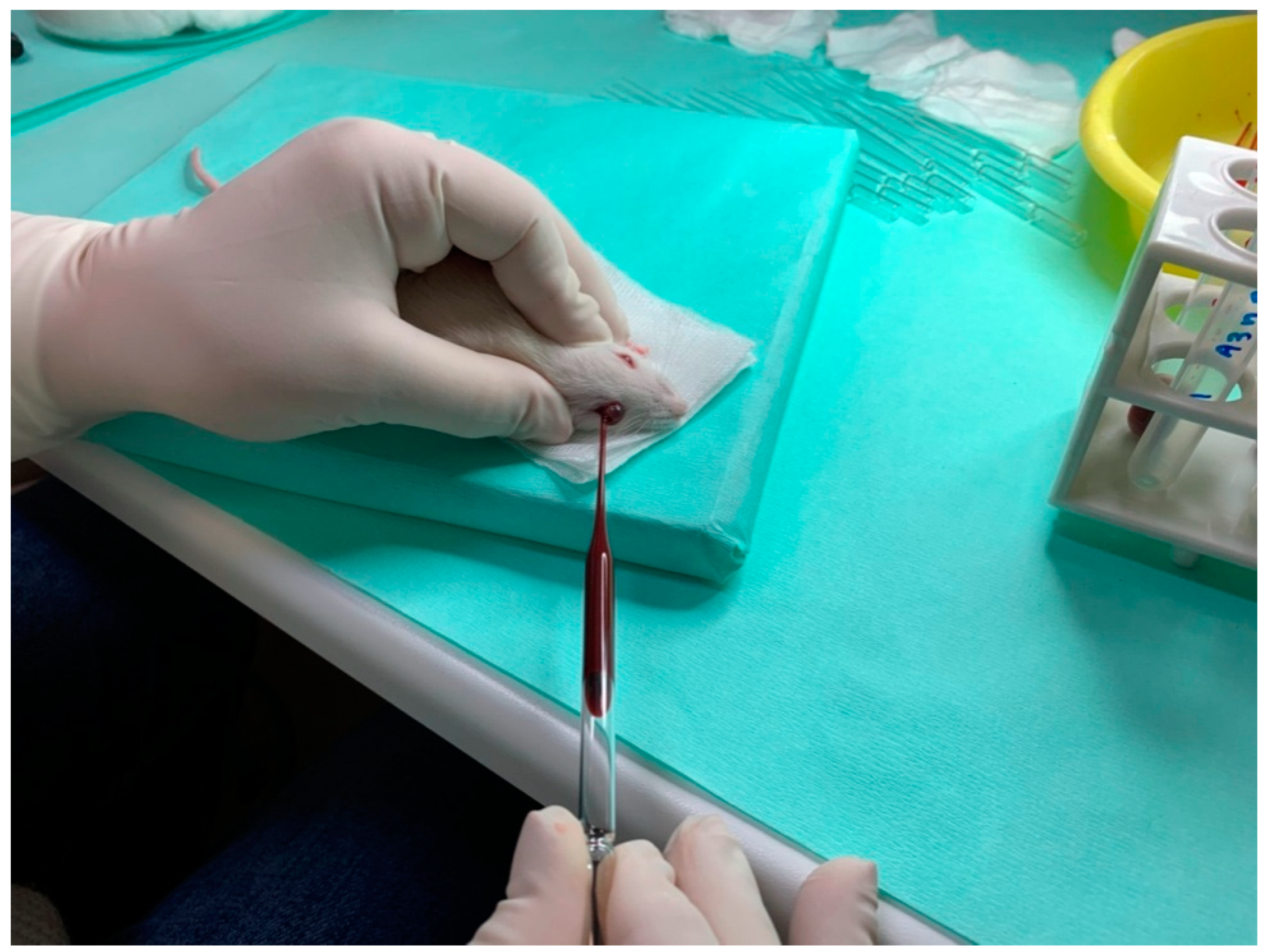 Vetsci 09 00625 g001