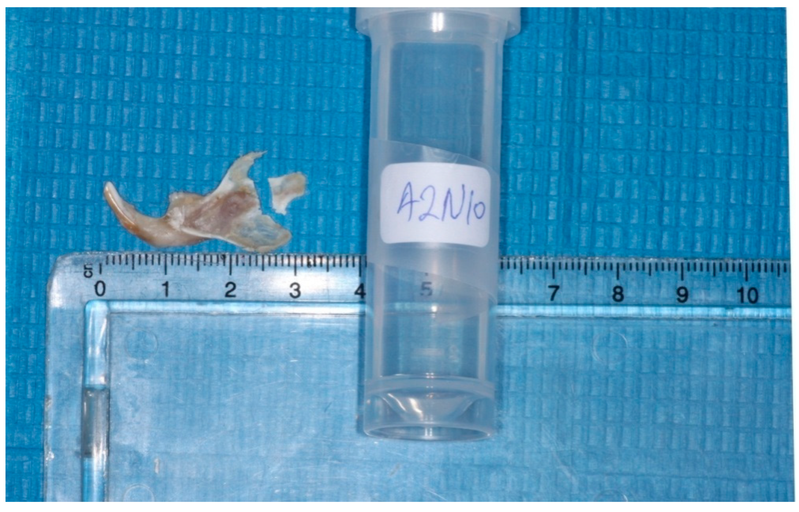 Vetsci 09 00625 g003