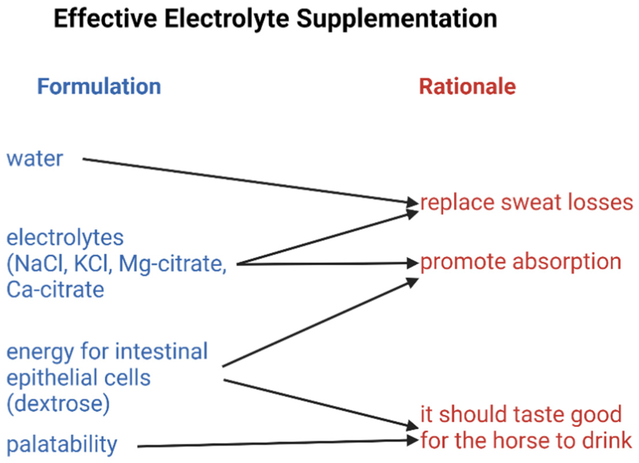 Vetsci 09 00626 g001