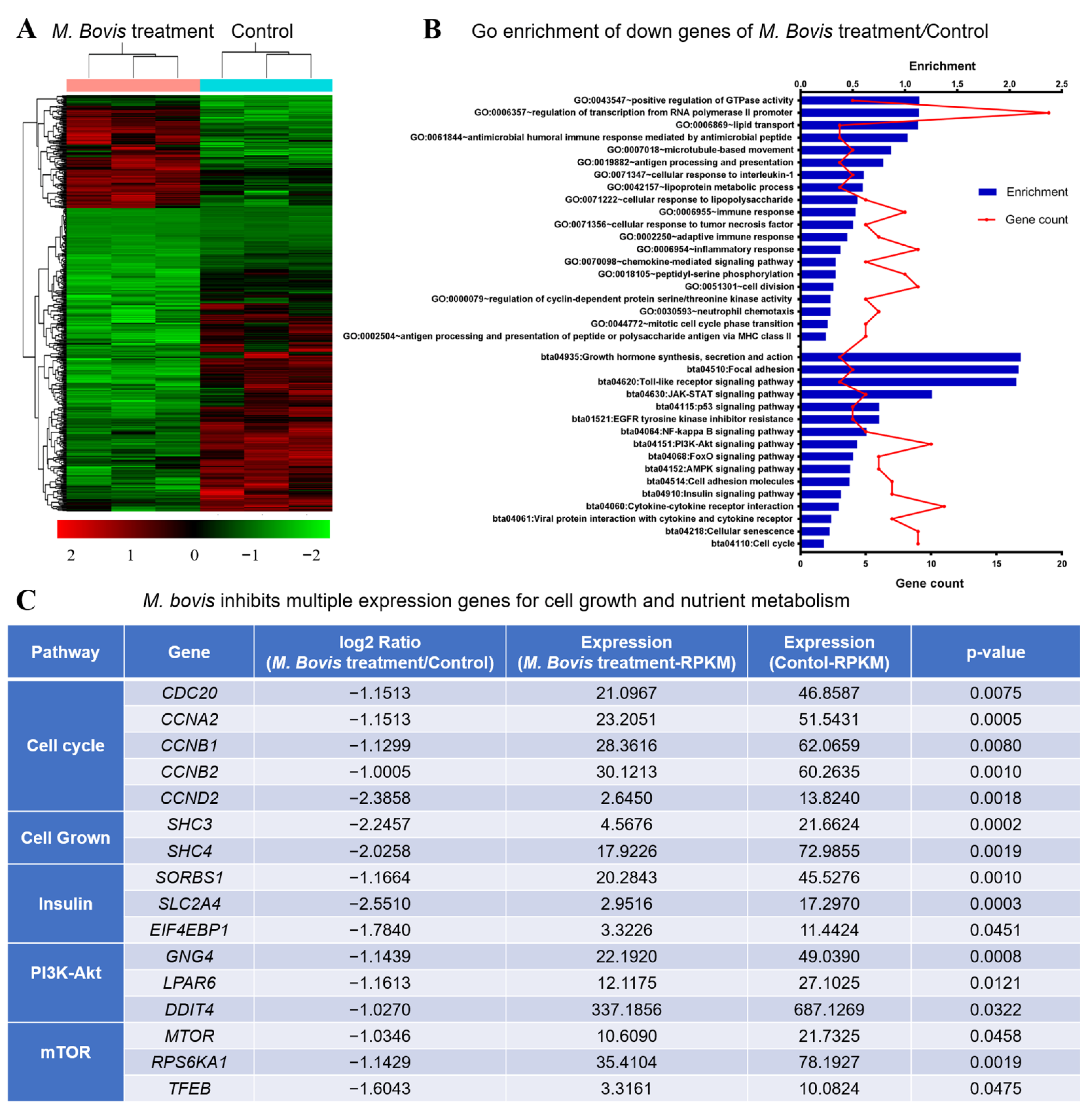 Vetsci 09 00630 g002