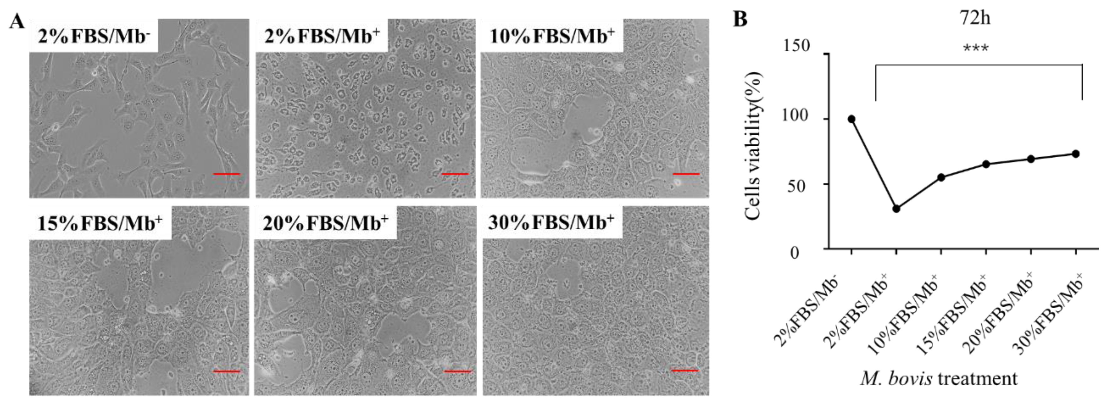 Vetsci 09 00630 g004