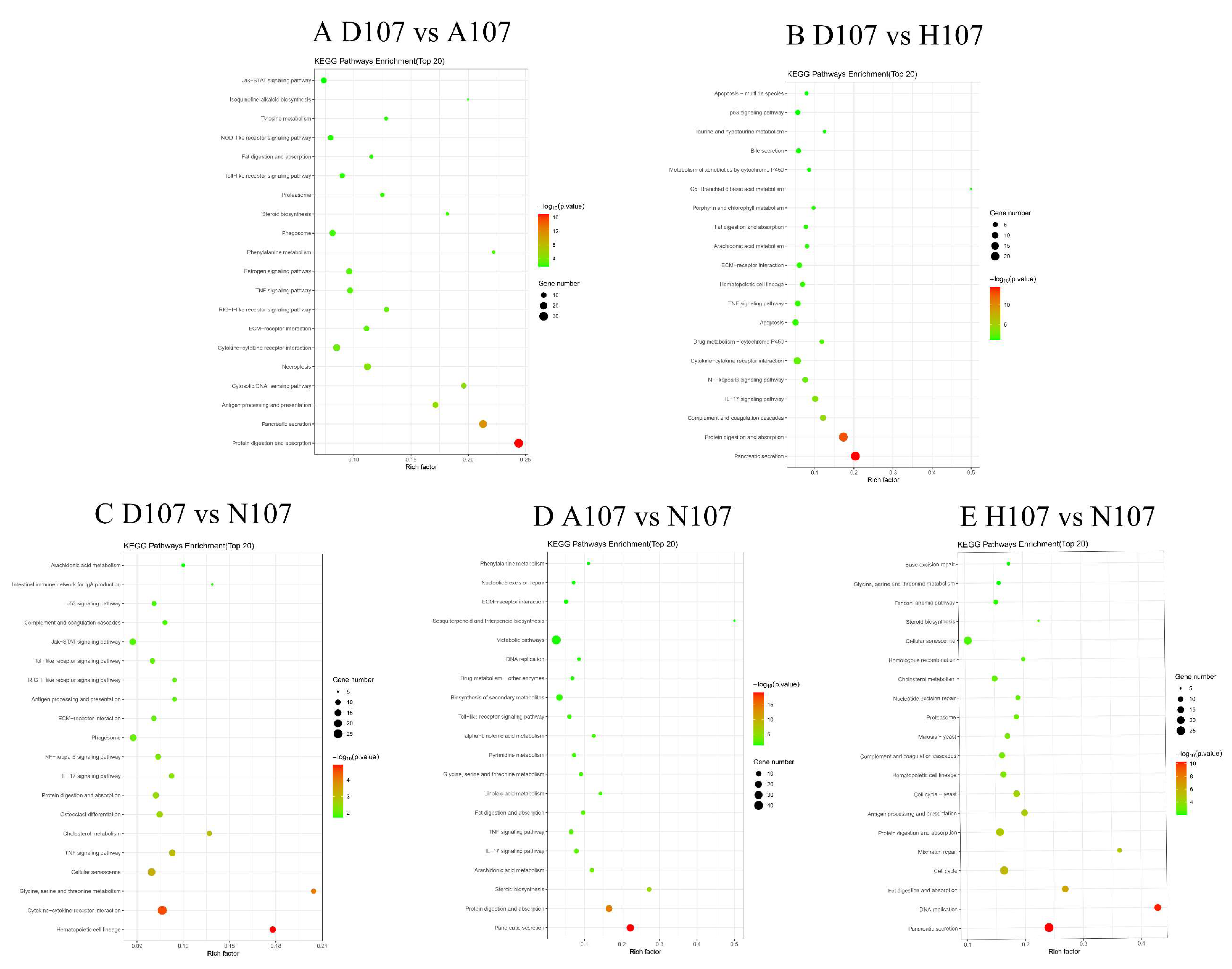 Vetsci 09 00632 g005 Vetsci 09 00632 g005
