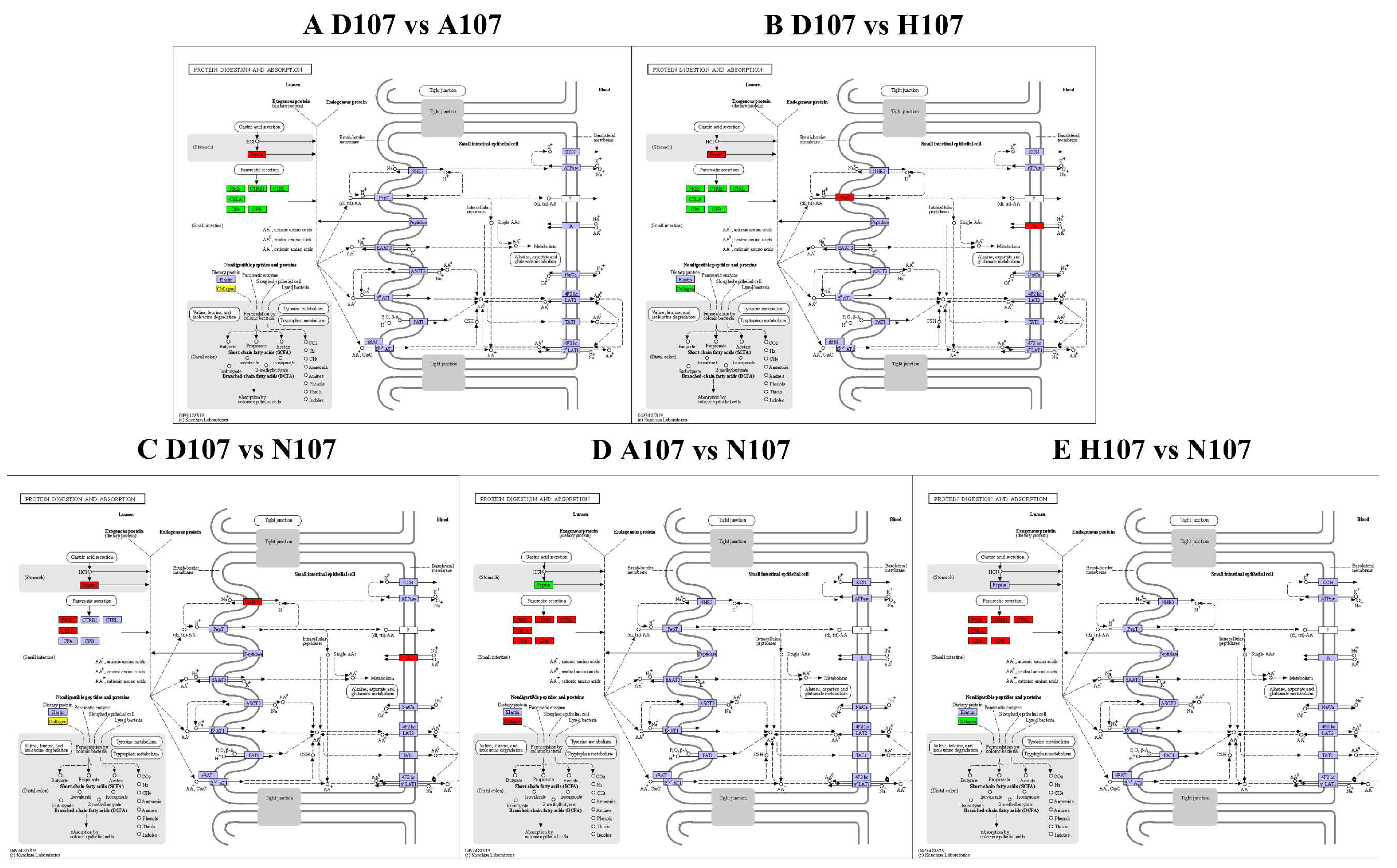 Vetsci 09 00632 g006 Vetsci 09 00632 g006