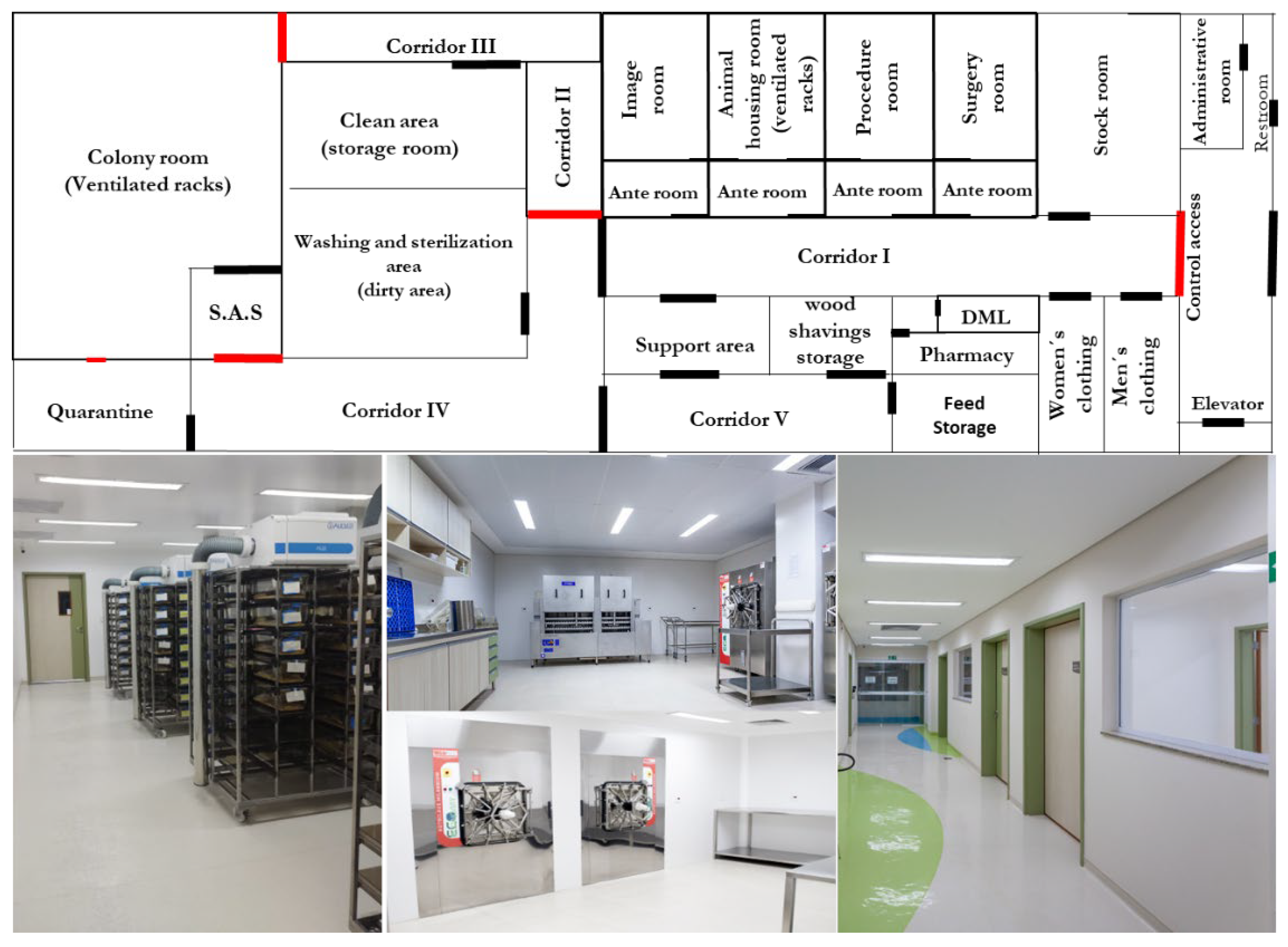 Veterinary Sciences | Free Full-Text | The Barretos Cancer Hospital Animal  Facility: Implementation and Results of a Dedicated Platform for  Preclinical Oncology Models