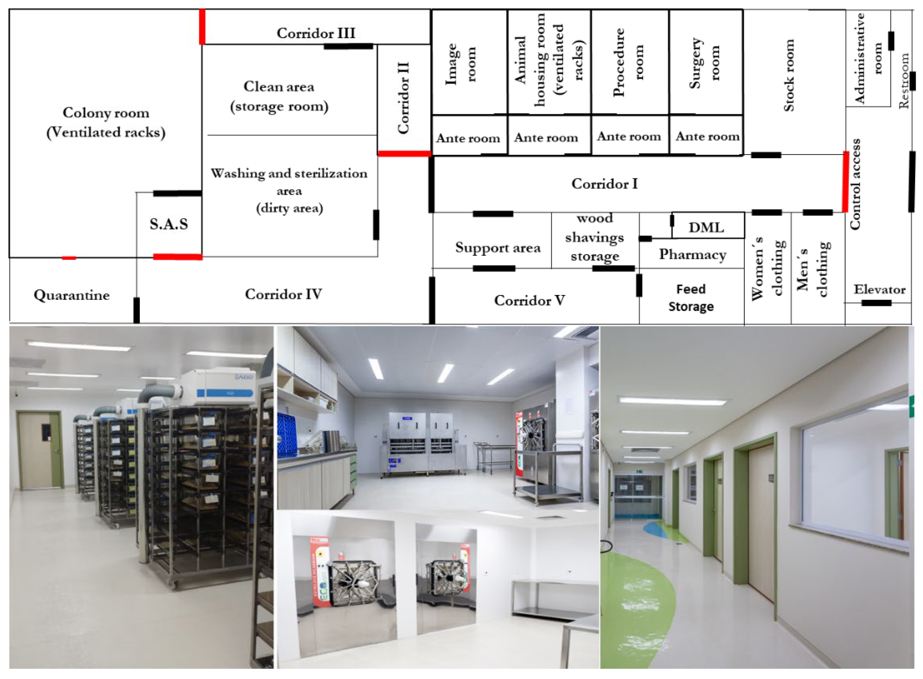 Veterinary Sciences | Free Full-Text | The Barretos Cancer Hospital Animal Facility: Implementation and Results of a Dedicated Platform for Preclinical Oncology Models Veterinary Sciences | Free Full-Text | The Barretos Cancer Hospital Animal Facility: Implementation and Results of a Dedicated Platform for Preclinical Oncology Models