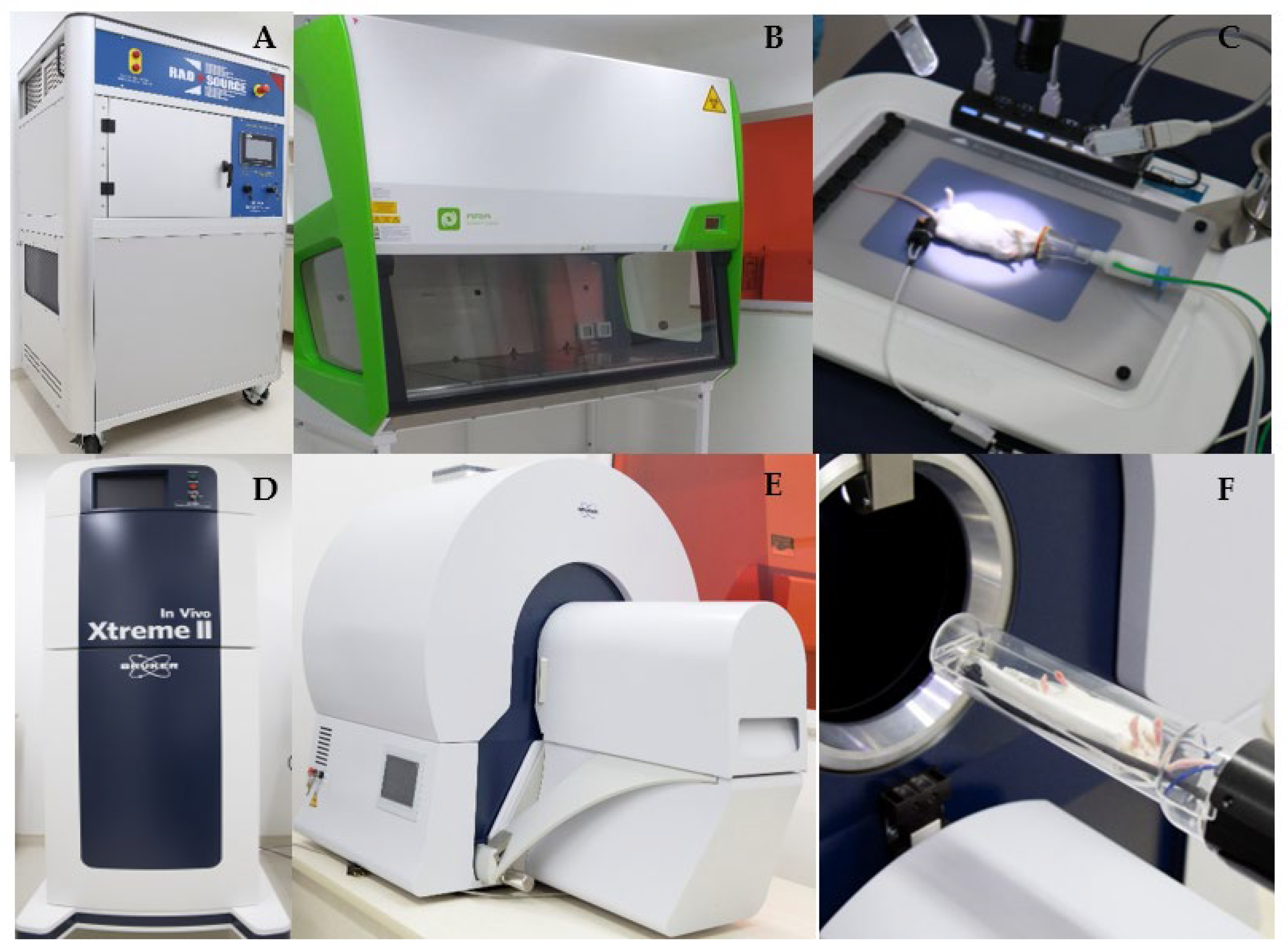 Vetsci 09 00636 g002 Vetsci 09 00636 g002