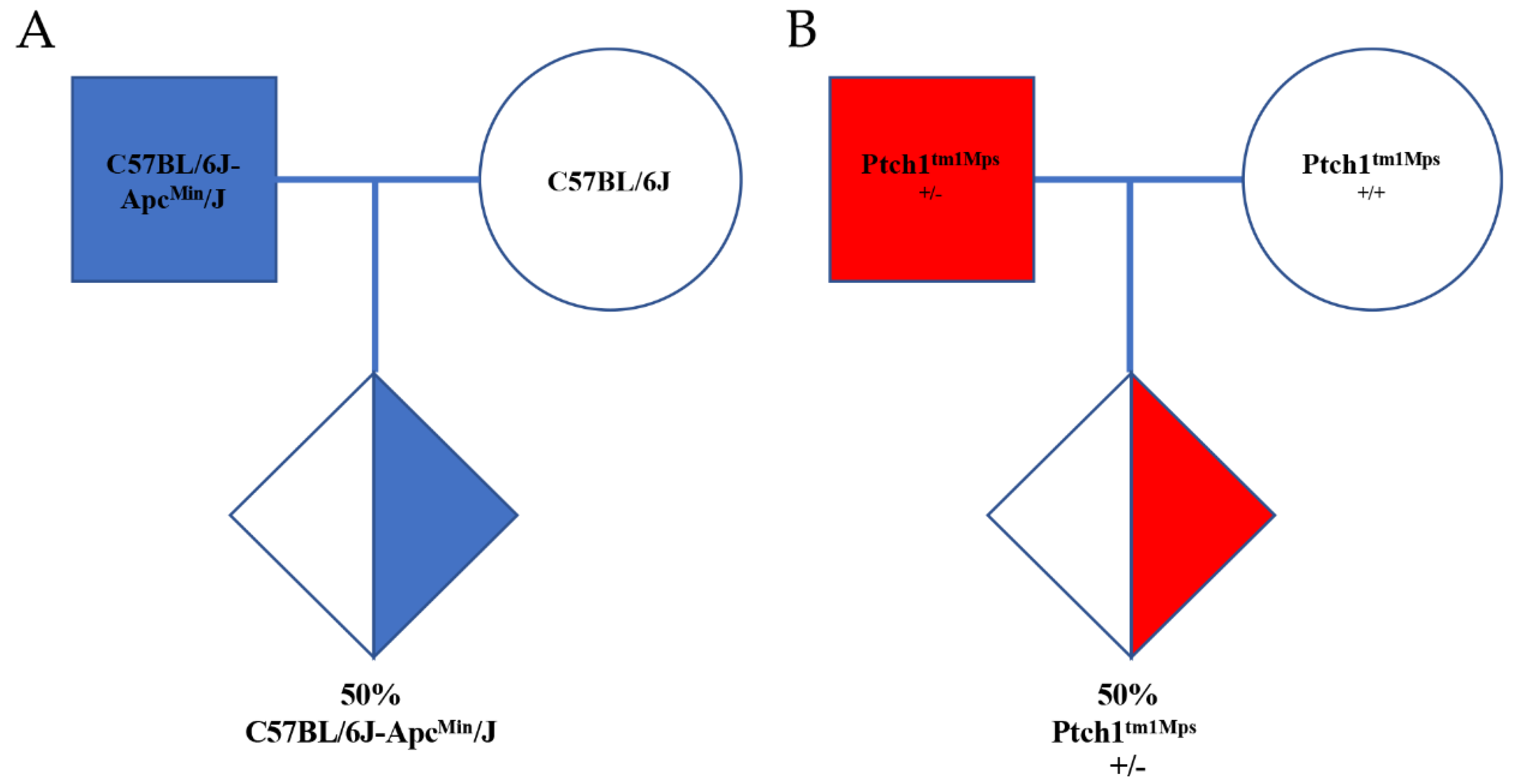 Vetsci 09 00636 g003 Vetsci 09 00636 g003