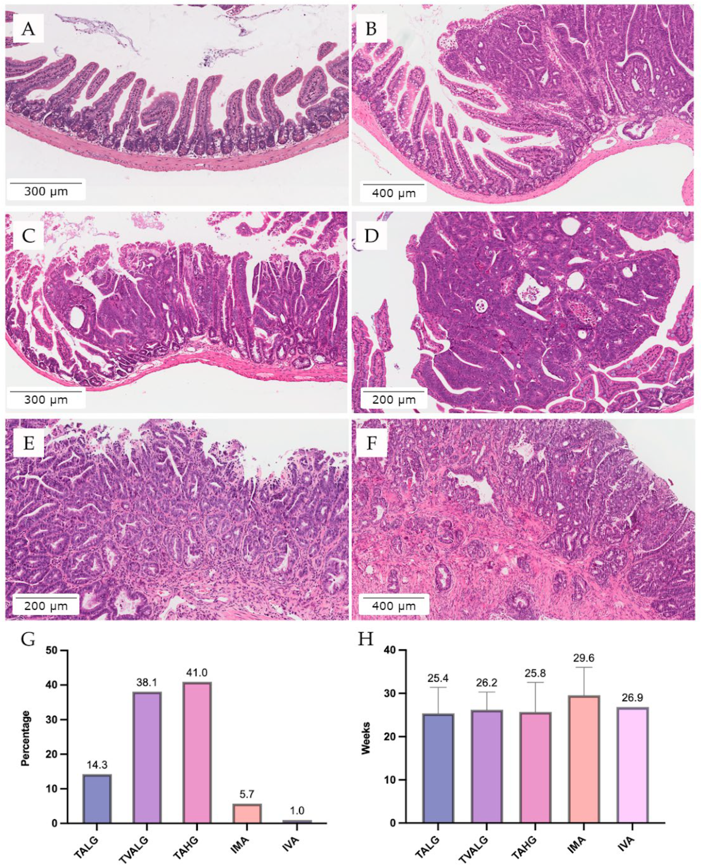 Vetsci 09 00636 g007 Vetsci 09 00636 g007