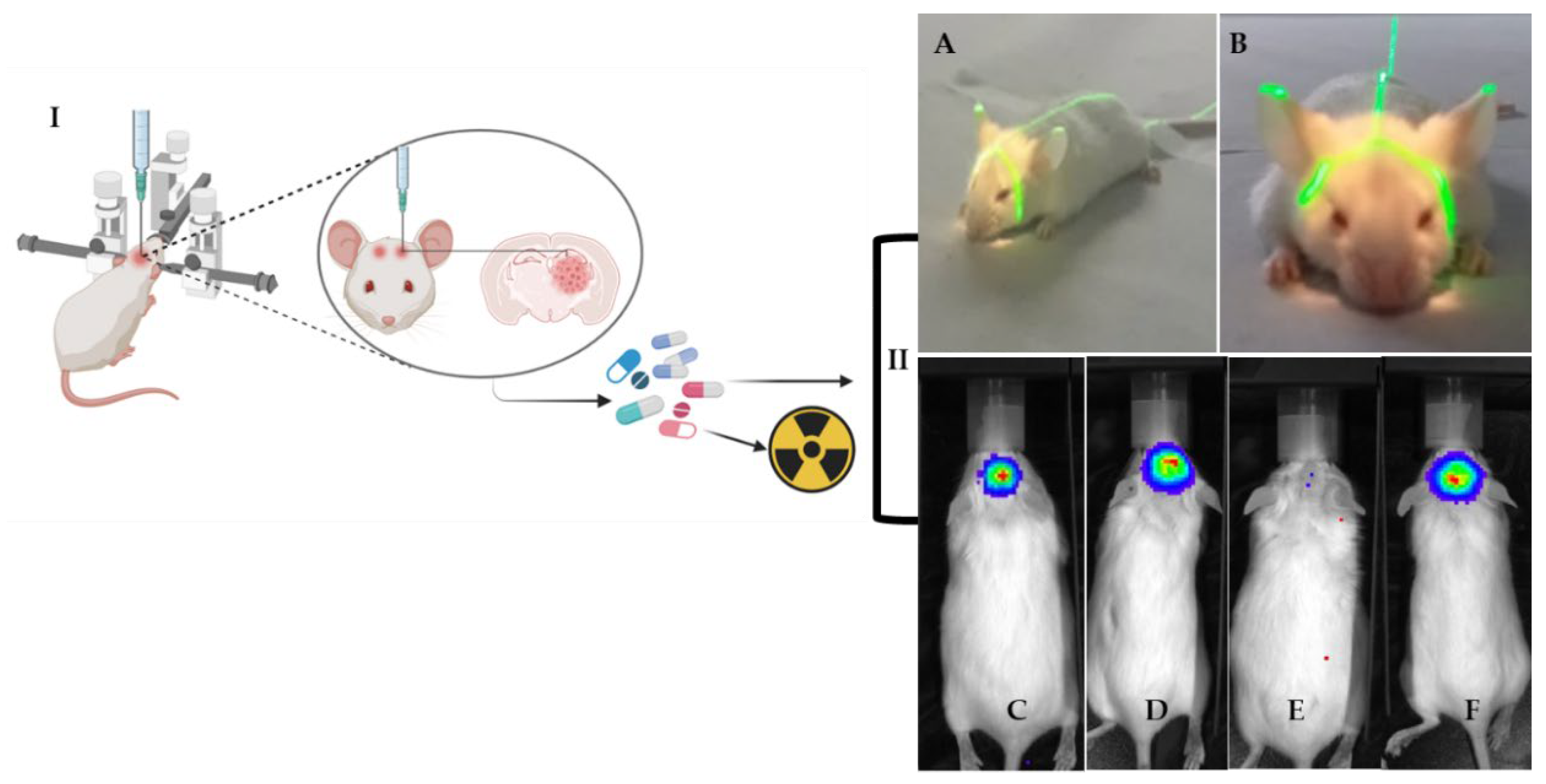 Vetsci 09 00636 g012 Vetsci 09 00636 g012