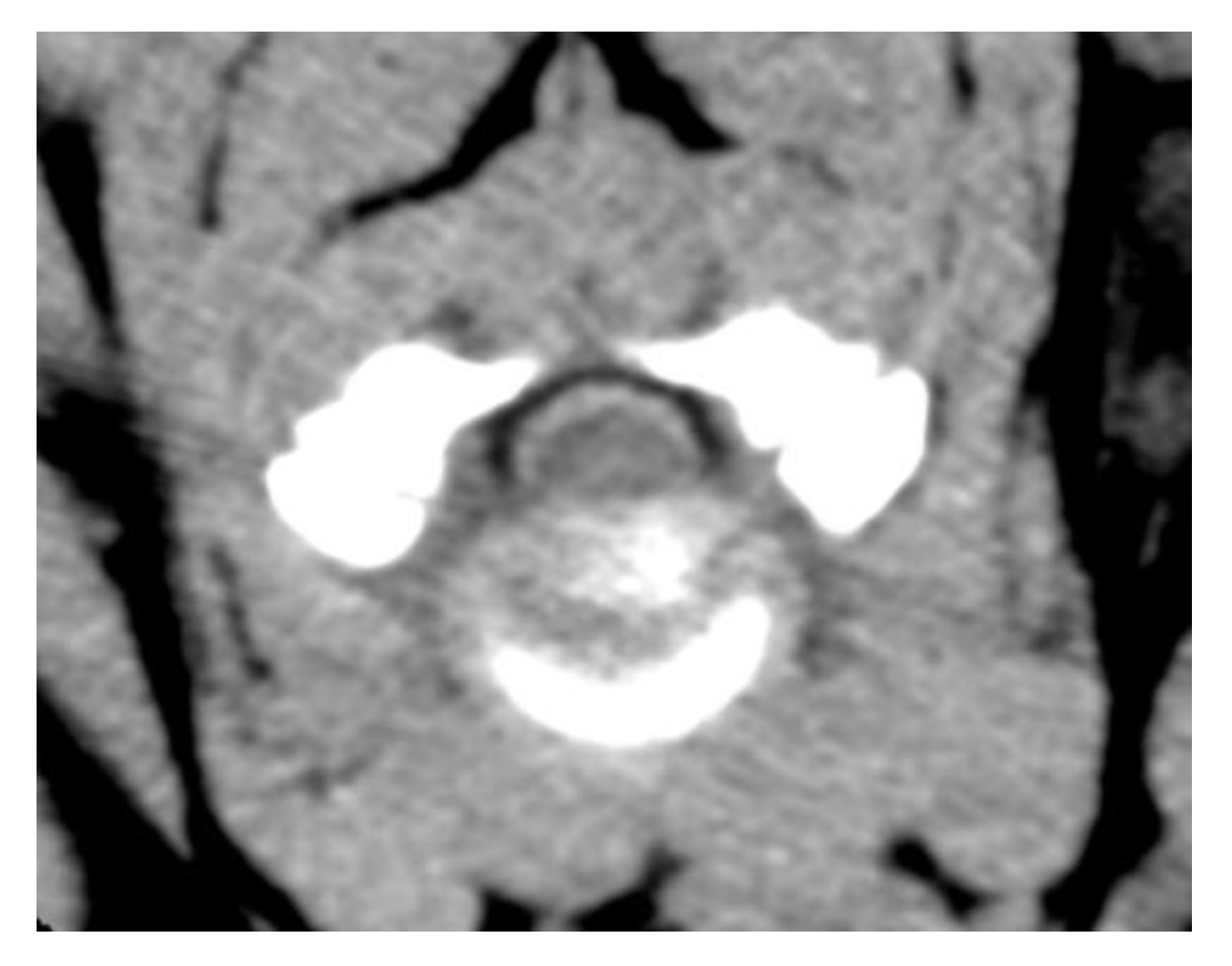 Vetsci 09 00638 g001