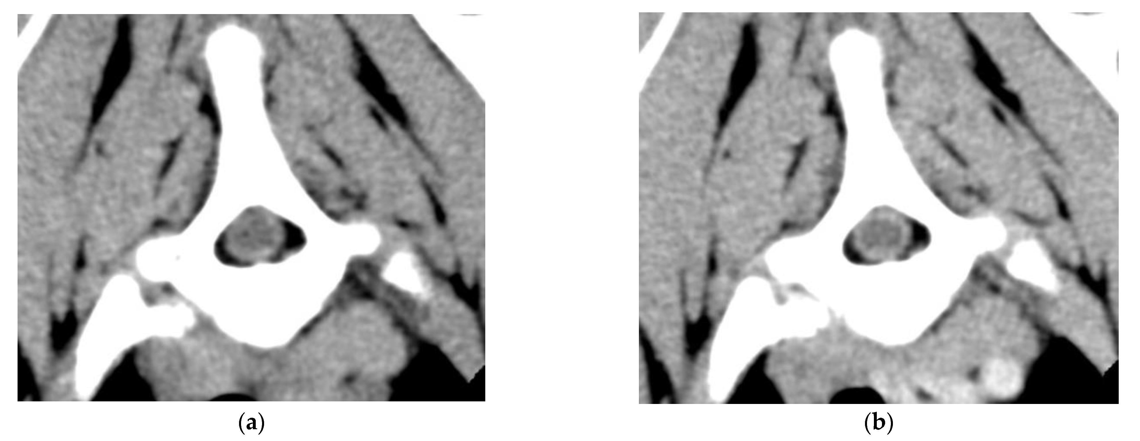 Vetsci 09 00638 g002