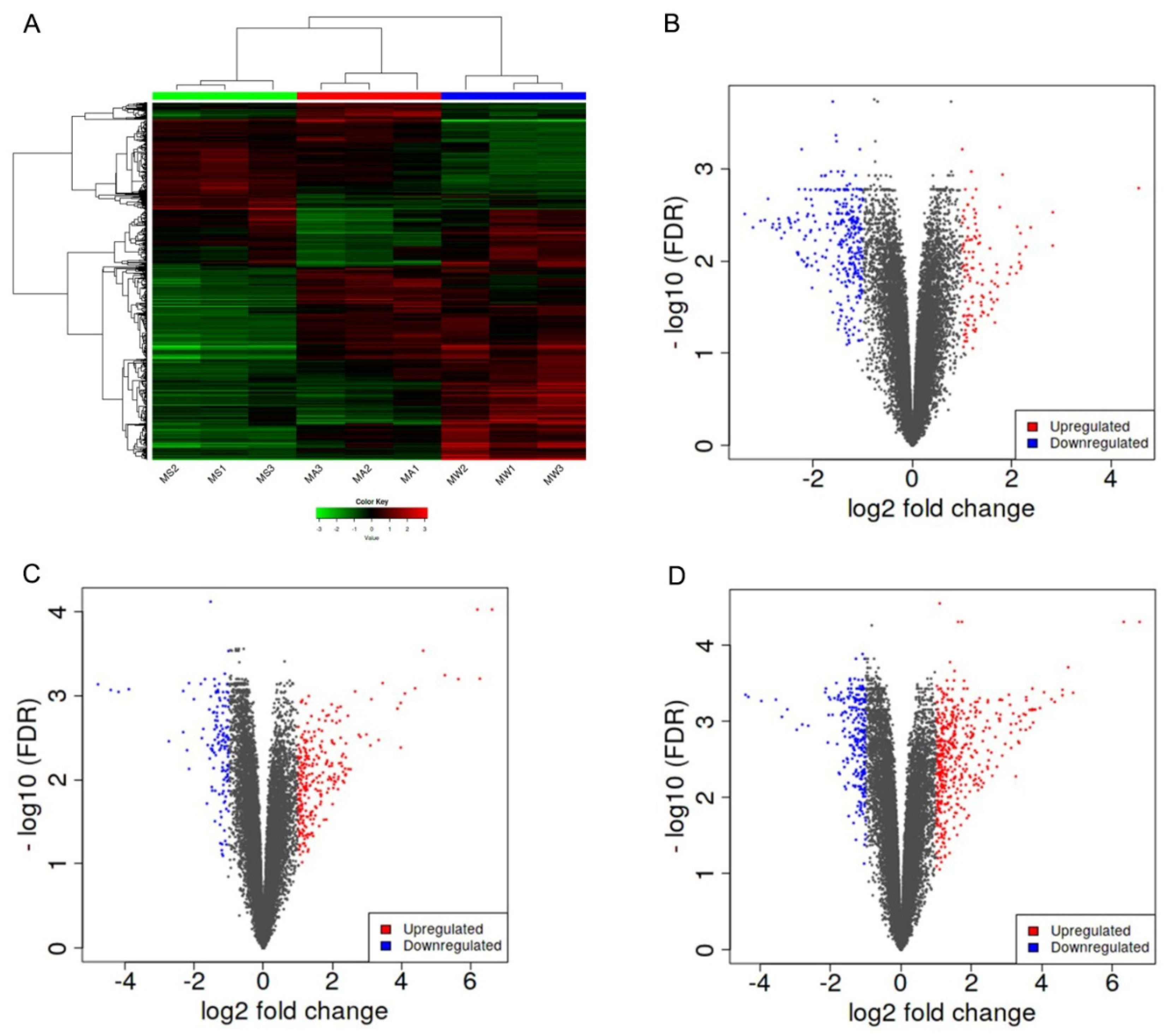Vetsci 09 00639 g004 Vetsci 09 00639 g004