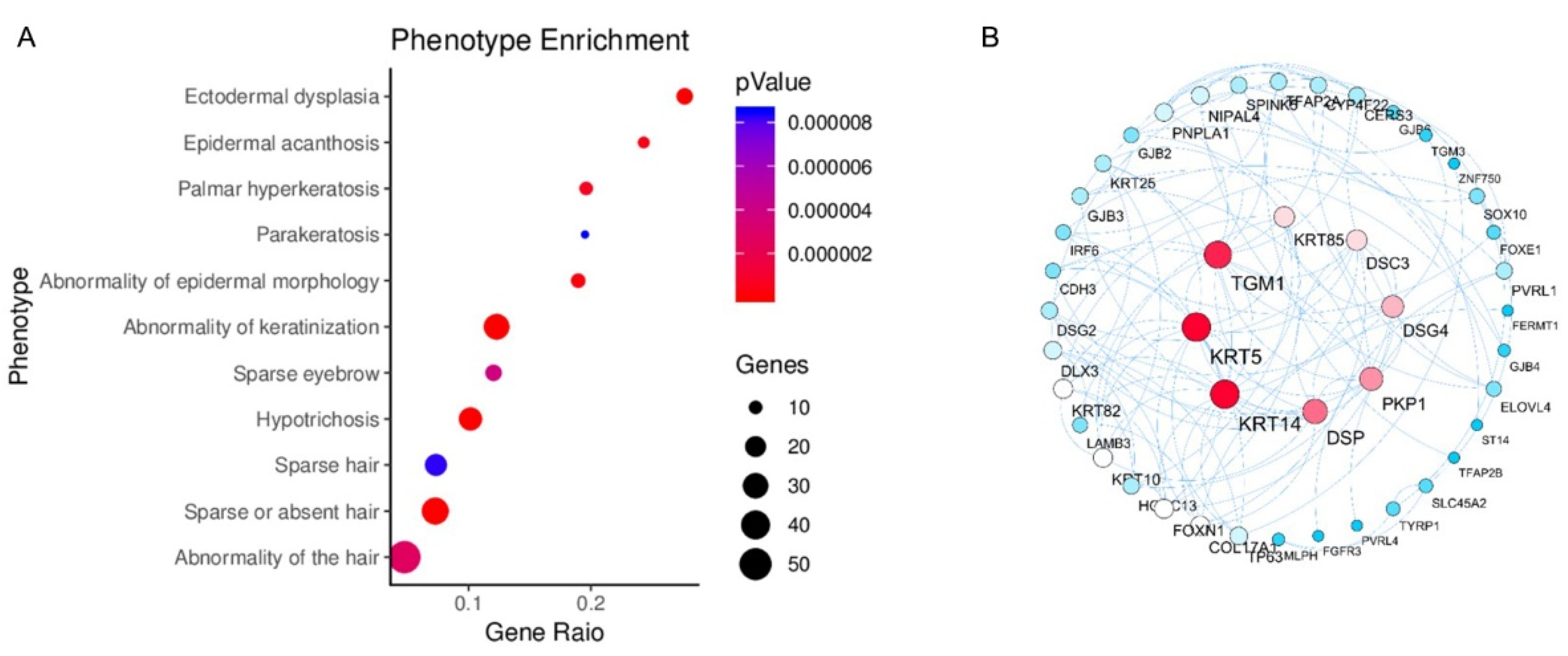 Vetsci 09 00639 g006 Vetsci 09 00639 g006