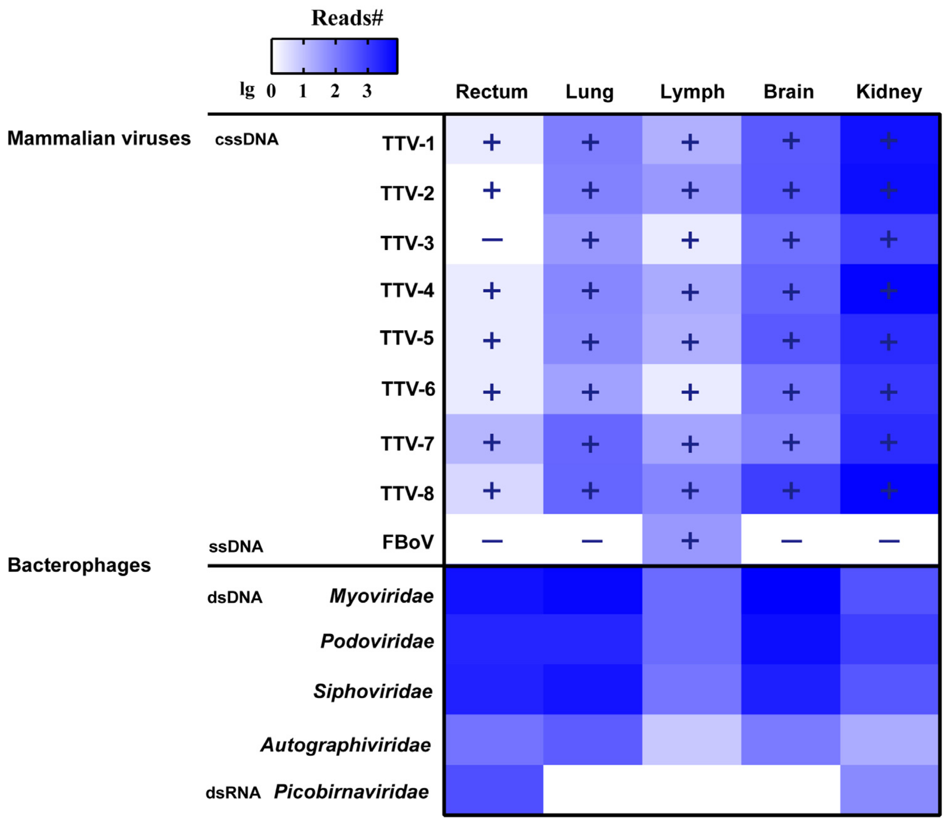 Vetsci 09 00640 g001