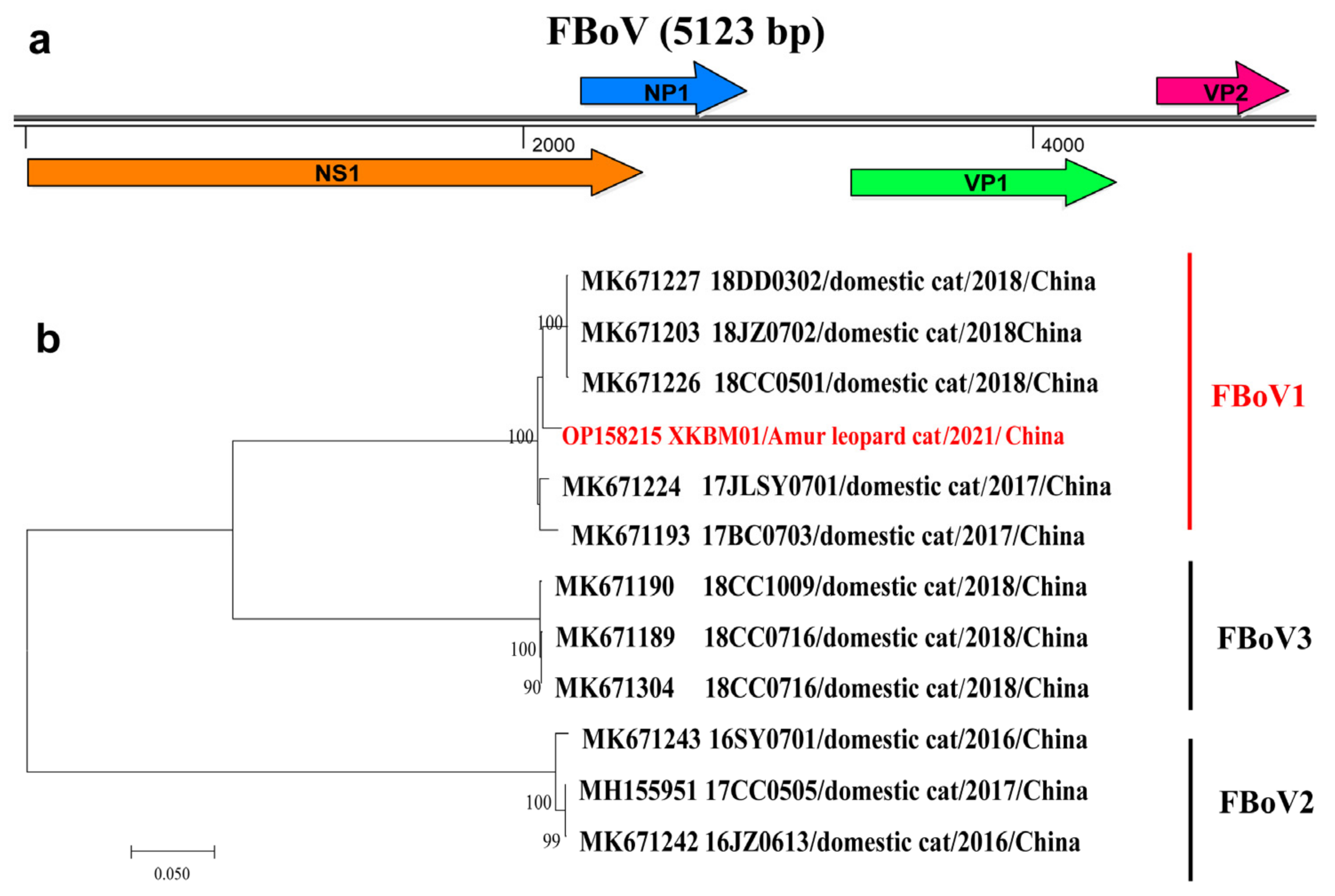 Vetsci 09 00640 g003