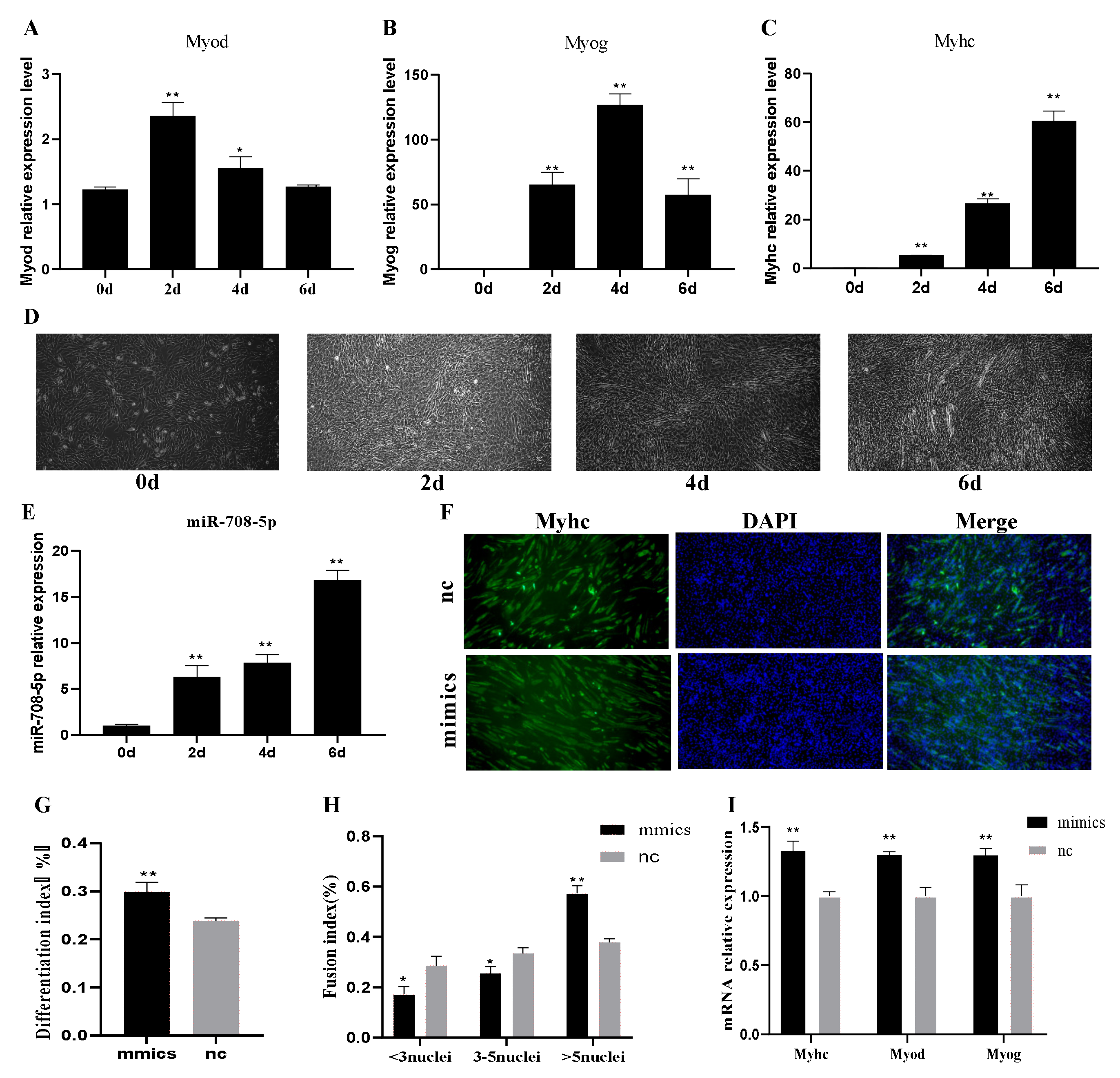 Vetsci 09 00641 g002 Vetsci 09 00641 g002