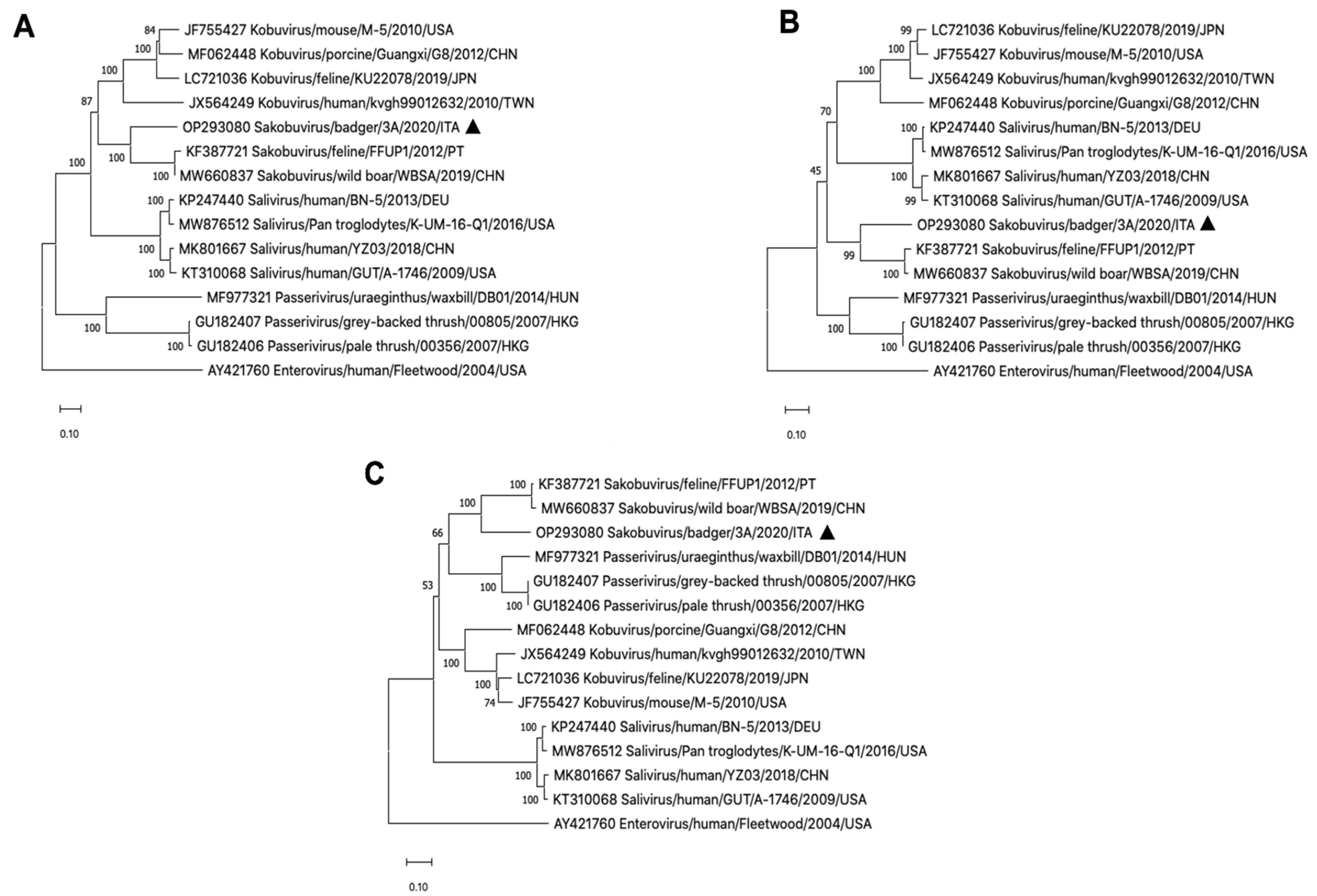 Vetsci 09 00645 g001 Vetsci 09 00645 g001