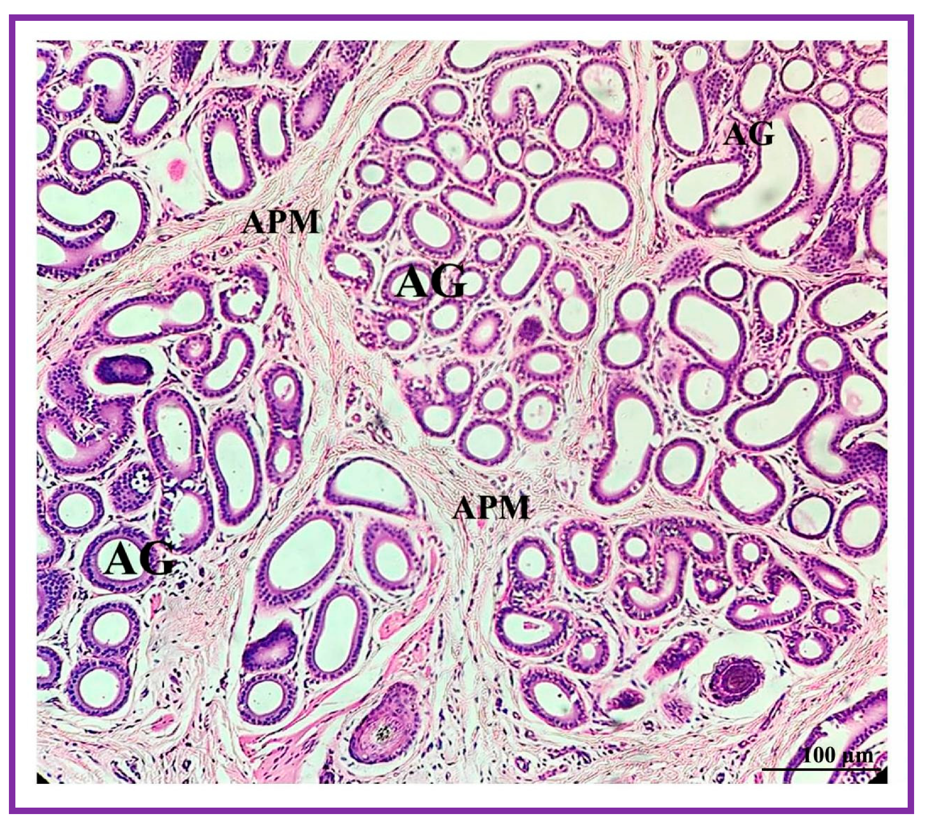 Vetsci 09 00647 g006
