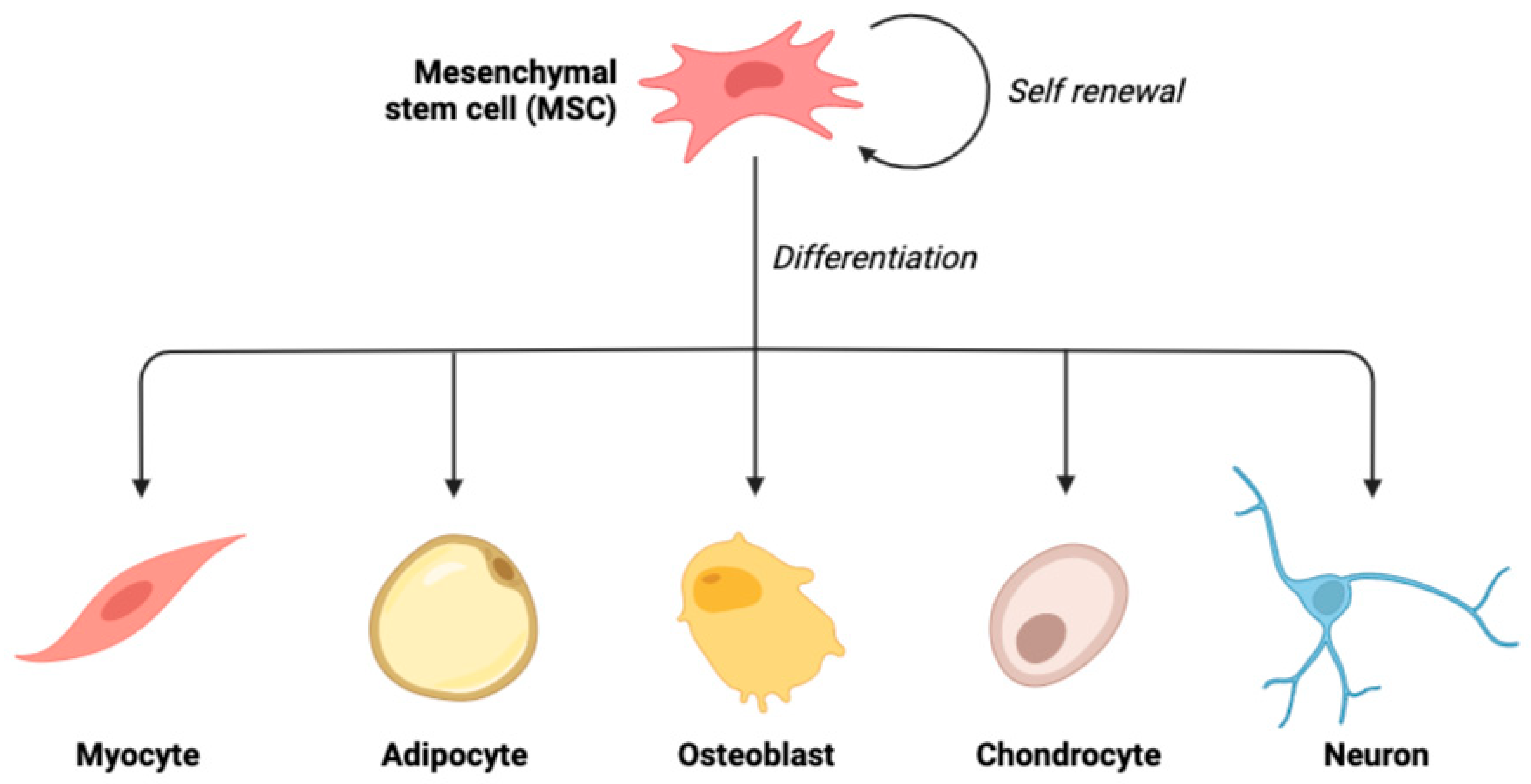 Vetsci 09 00648 g001