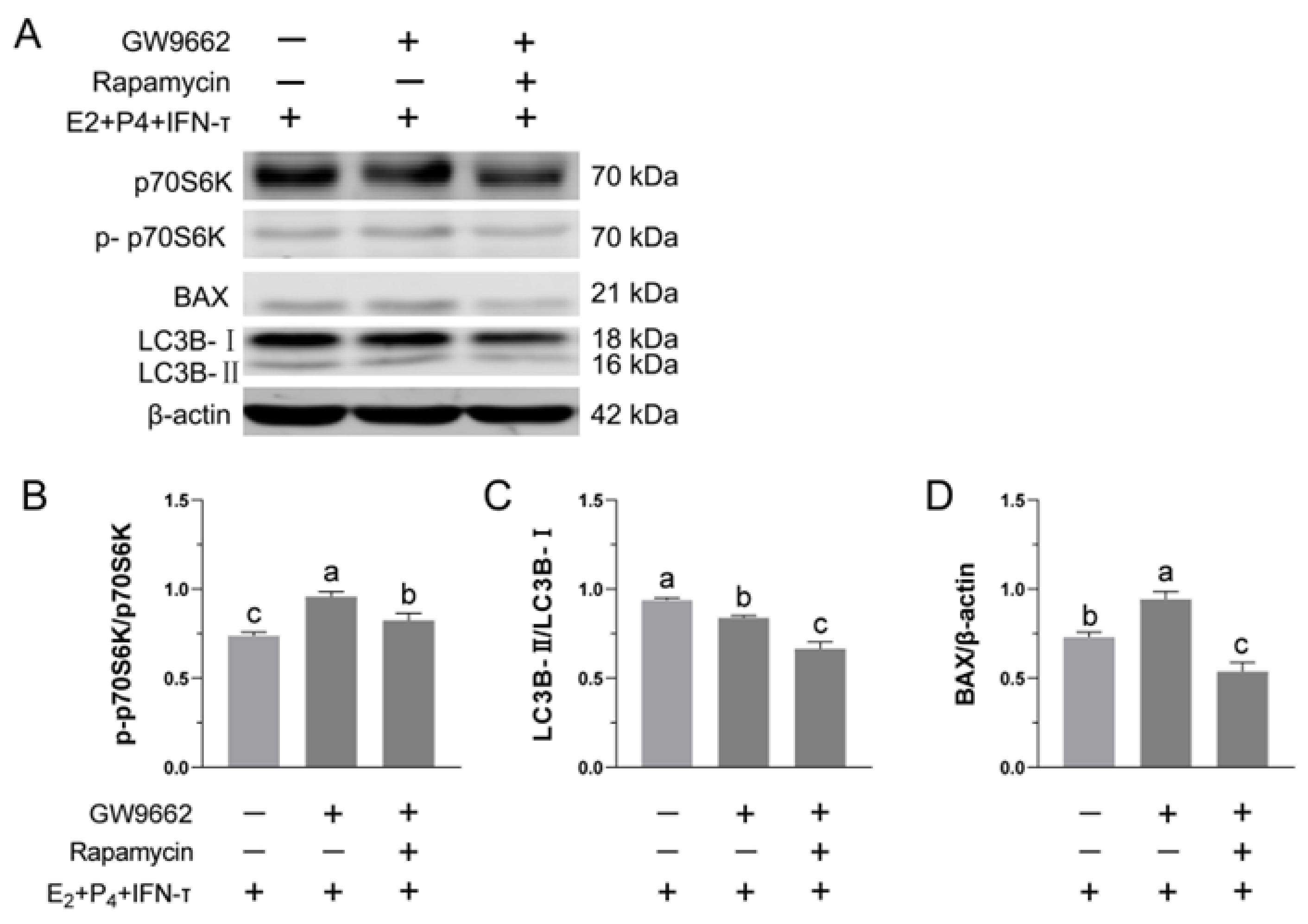 Vetsci 09 00649 g007 Vetsci 09 00649 g007