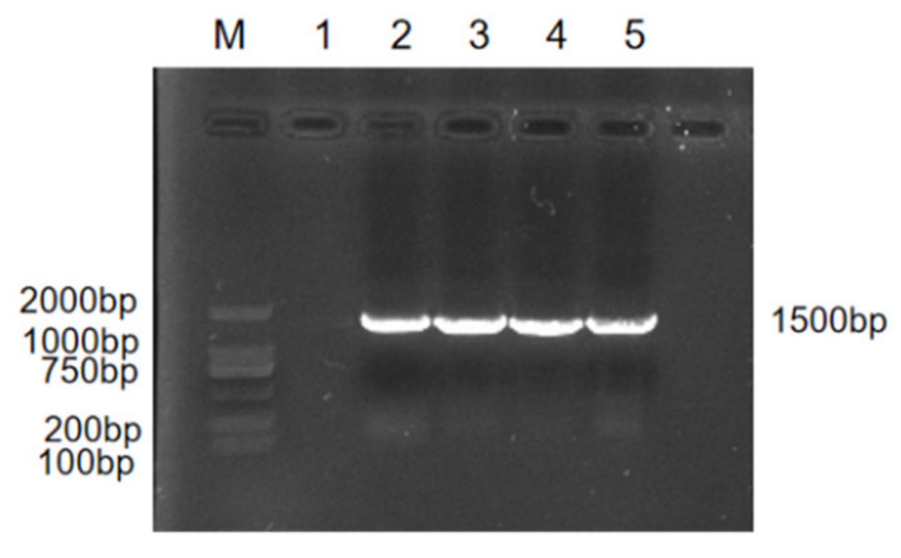 Vetsci 09 00653 g003
