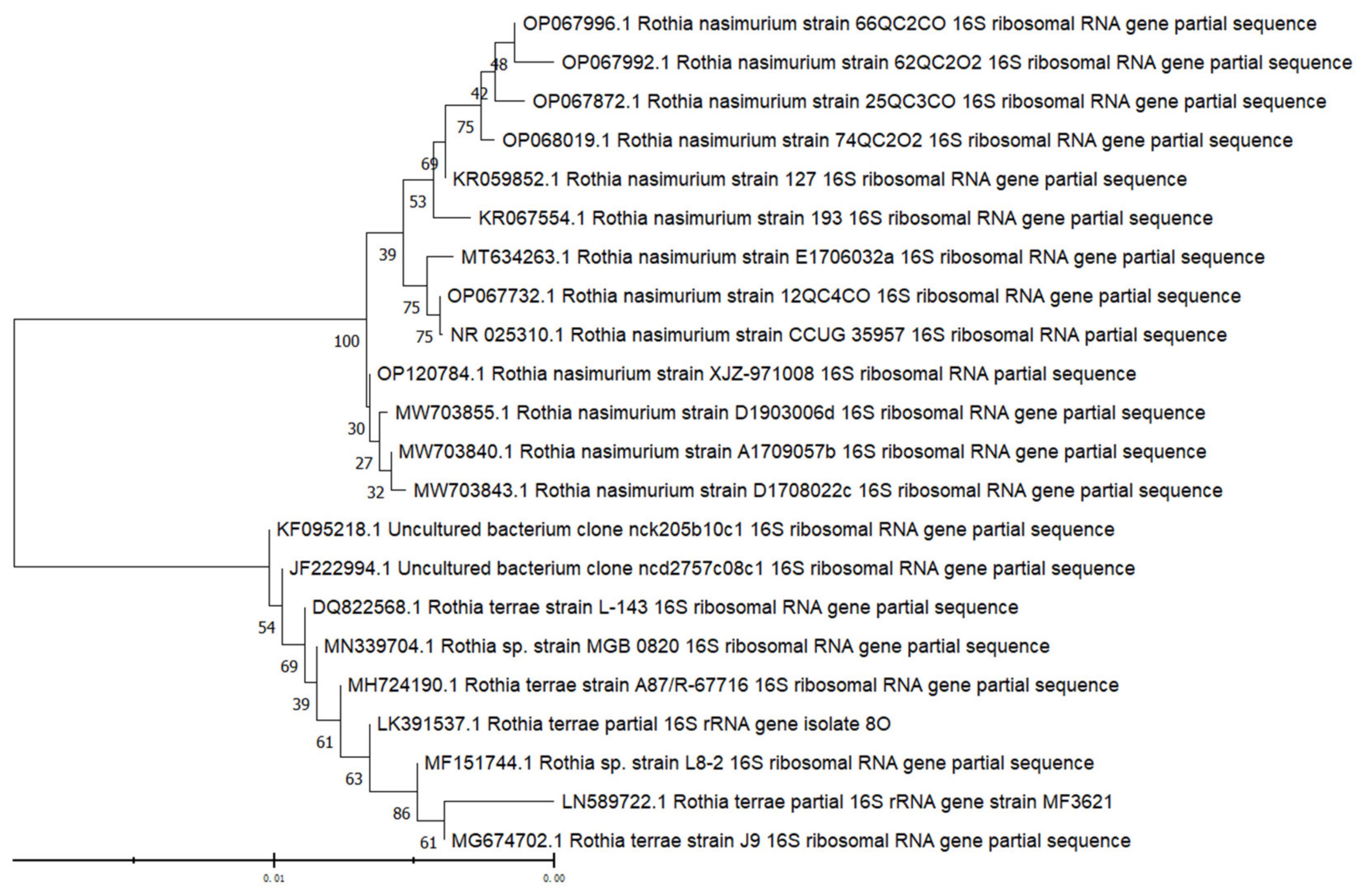 Vetsci 09 00653 g004