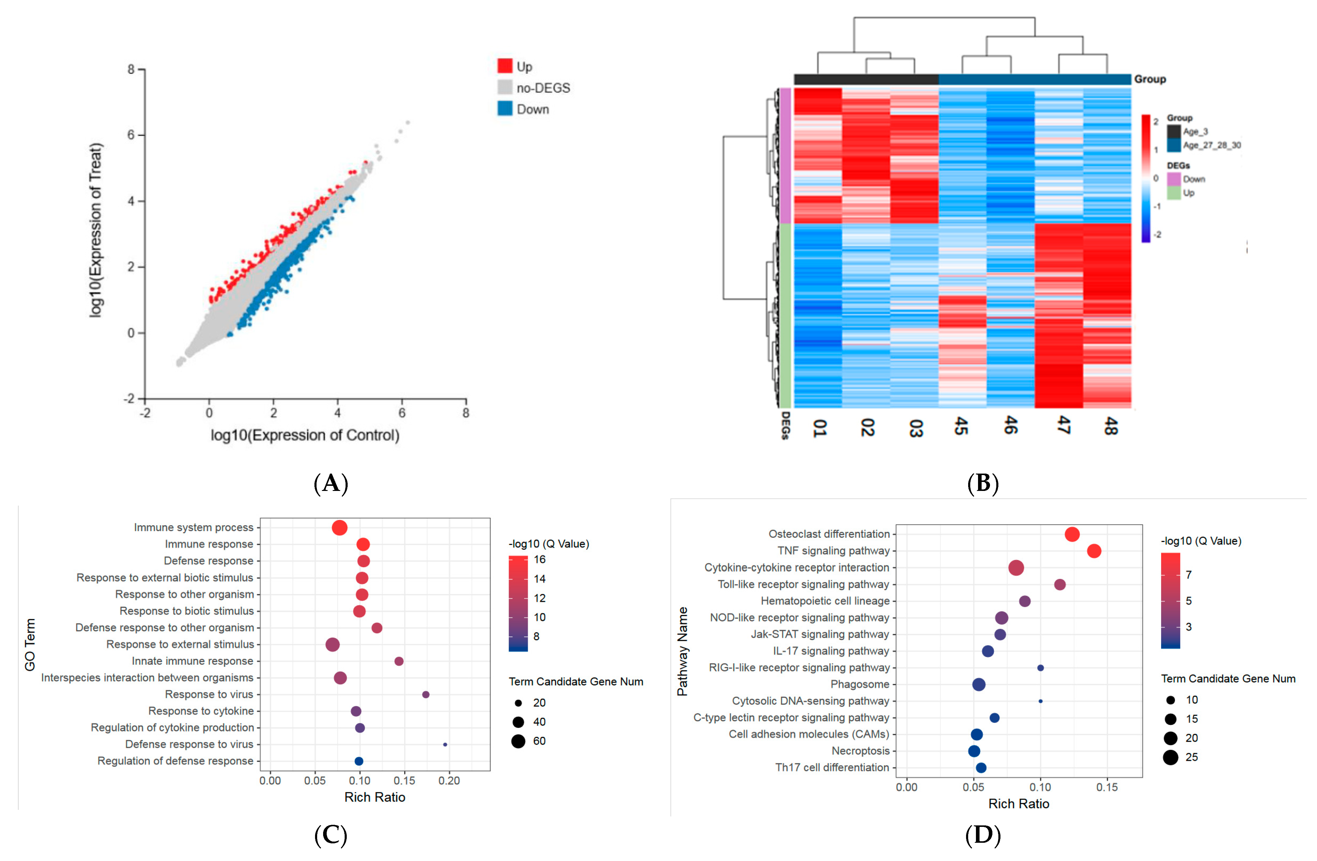 Vetsci 09 00667 g002a Vetsci 09 00667 g002a