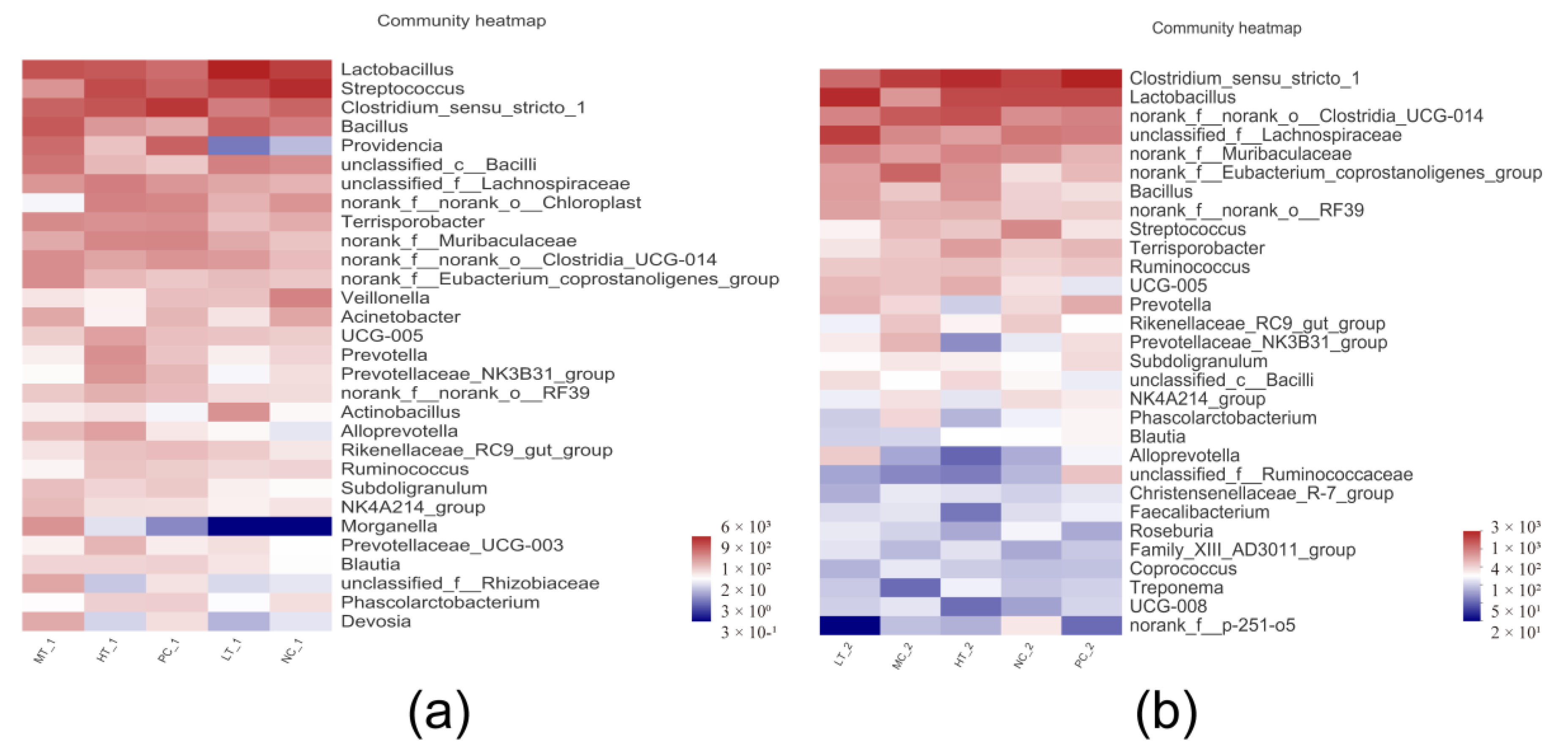 Vetsci 09 00668 g007 Vetsci 09 00668 g007