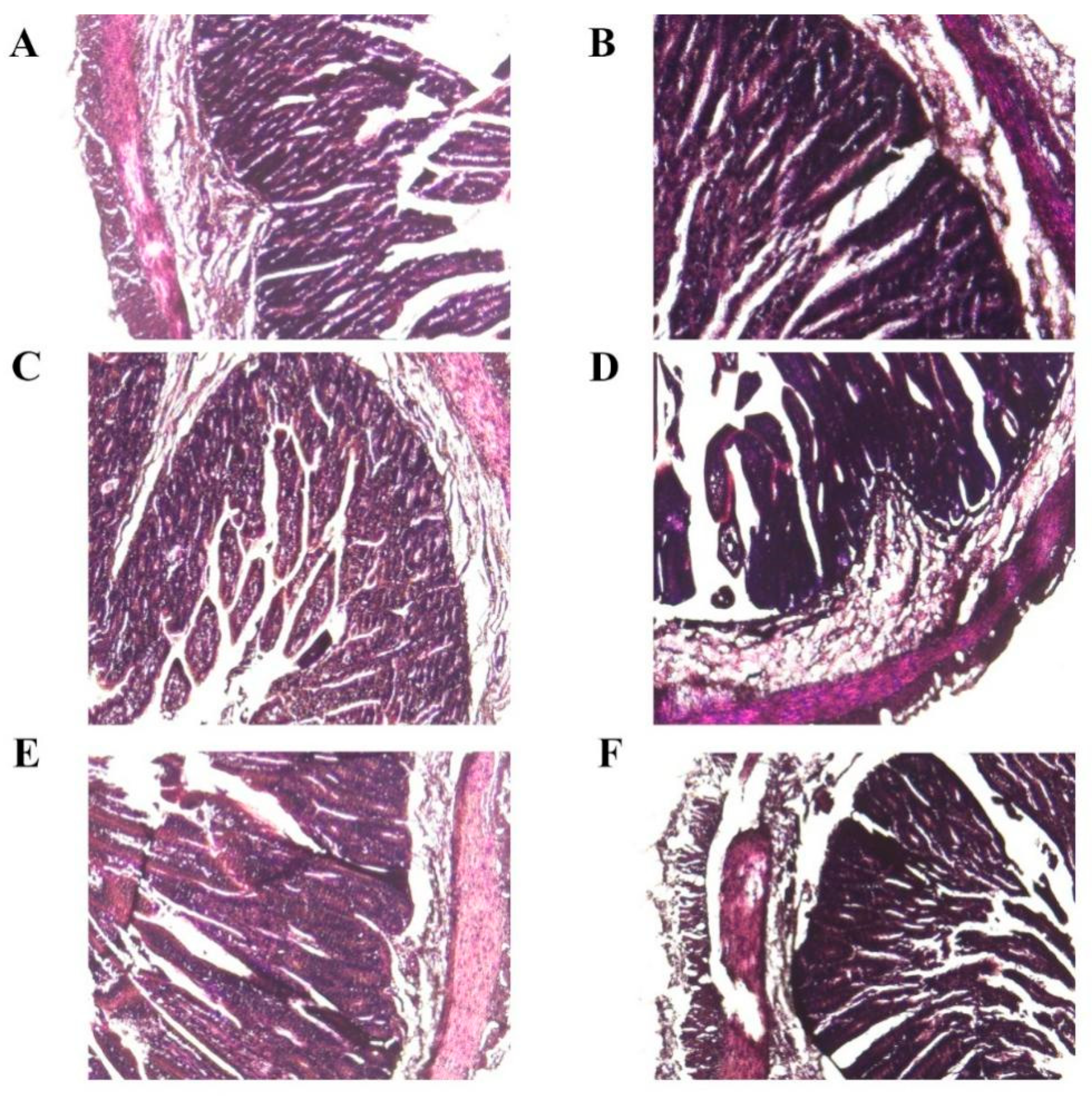 Vetsci 09 00670 g003 Vetsci 09 00670 g003