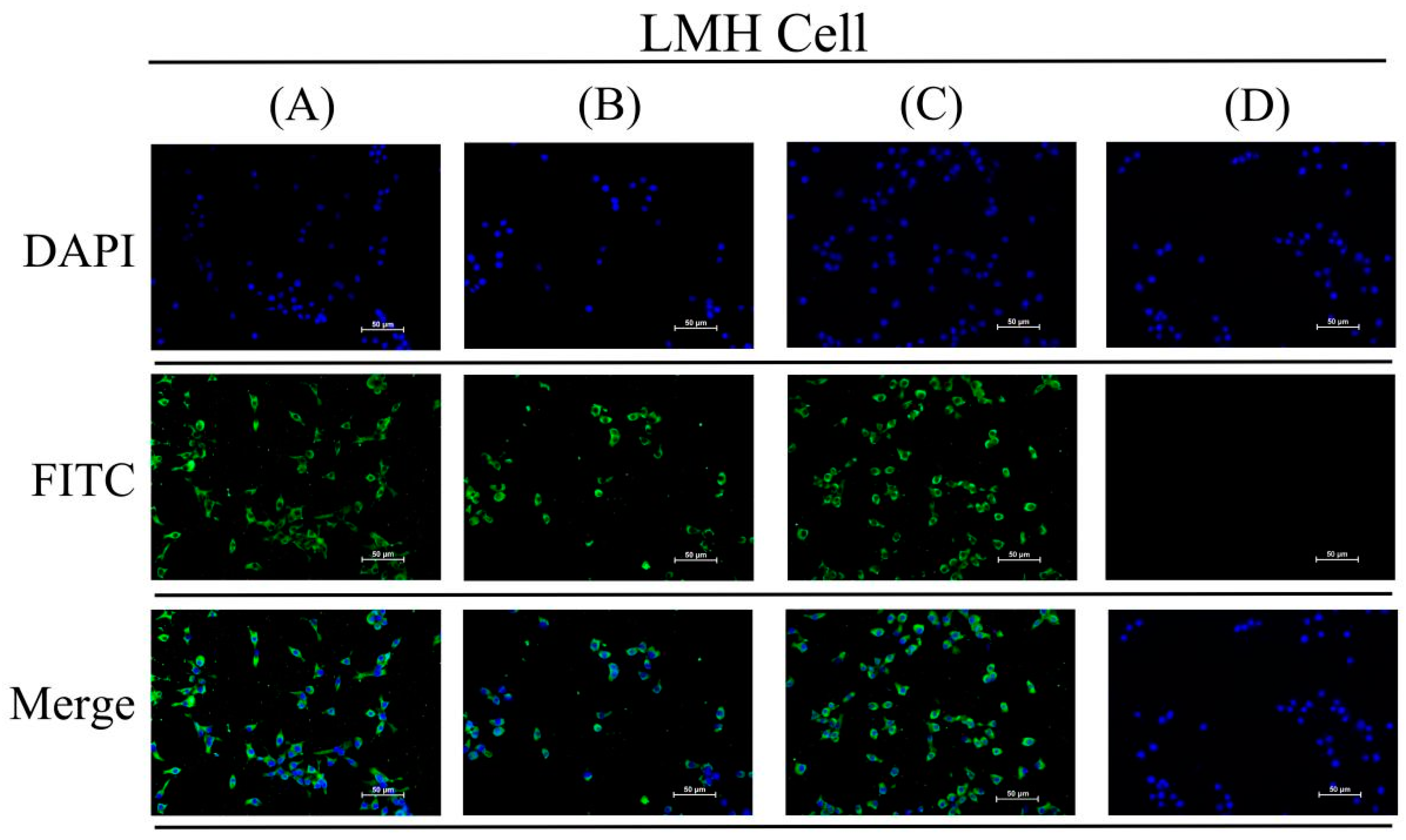Vetsci 09 00676 g004