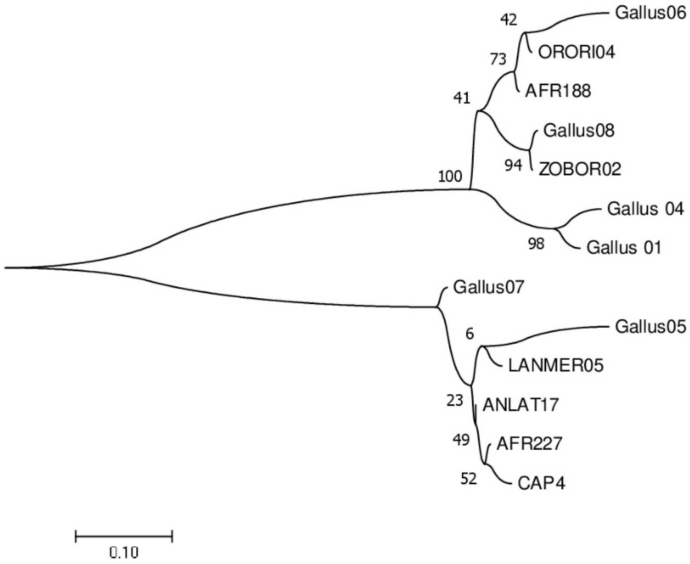 Vetsci 09 00681 g001 Vetsci 09 00681 g001