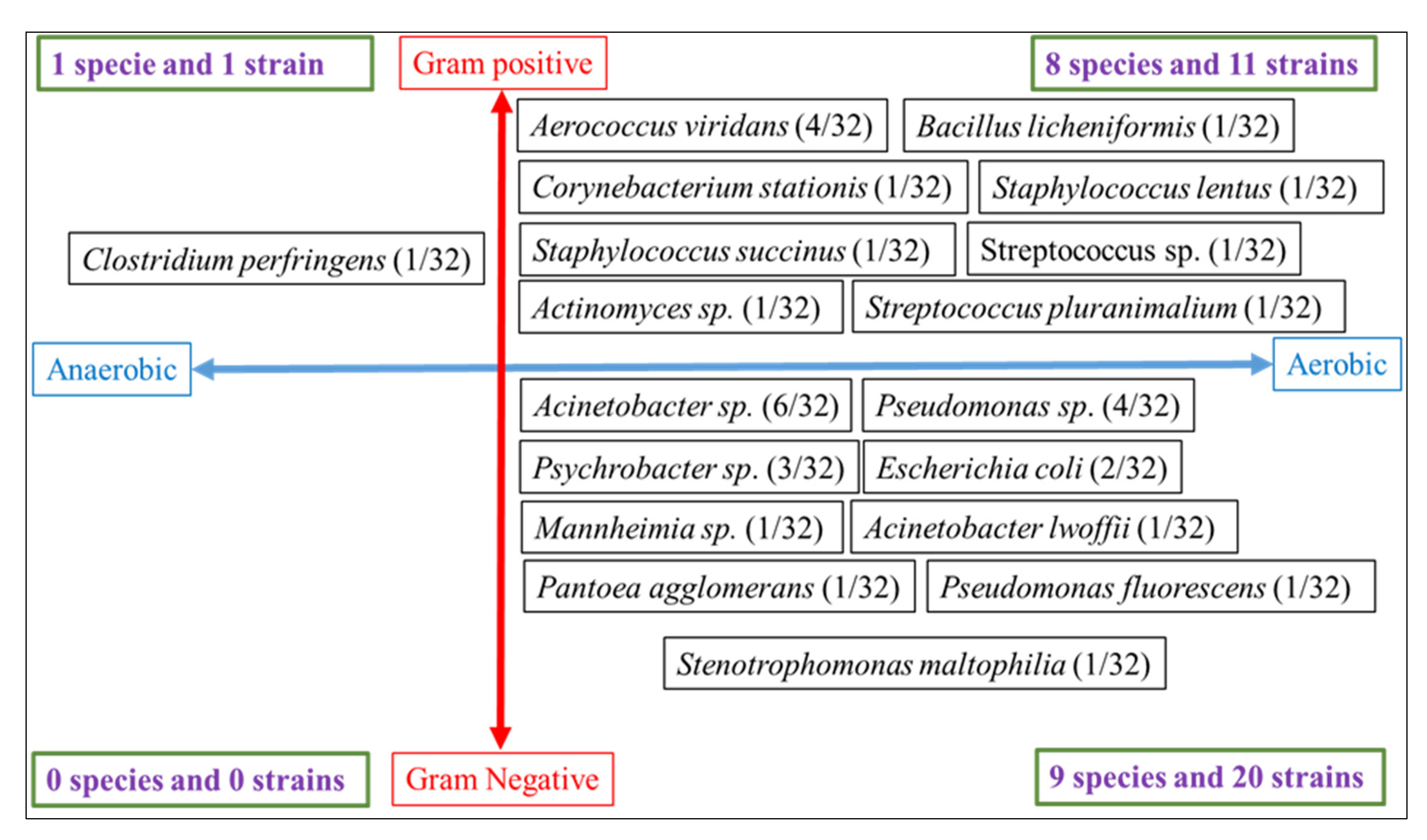 Vetsci 09 00687 g001