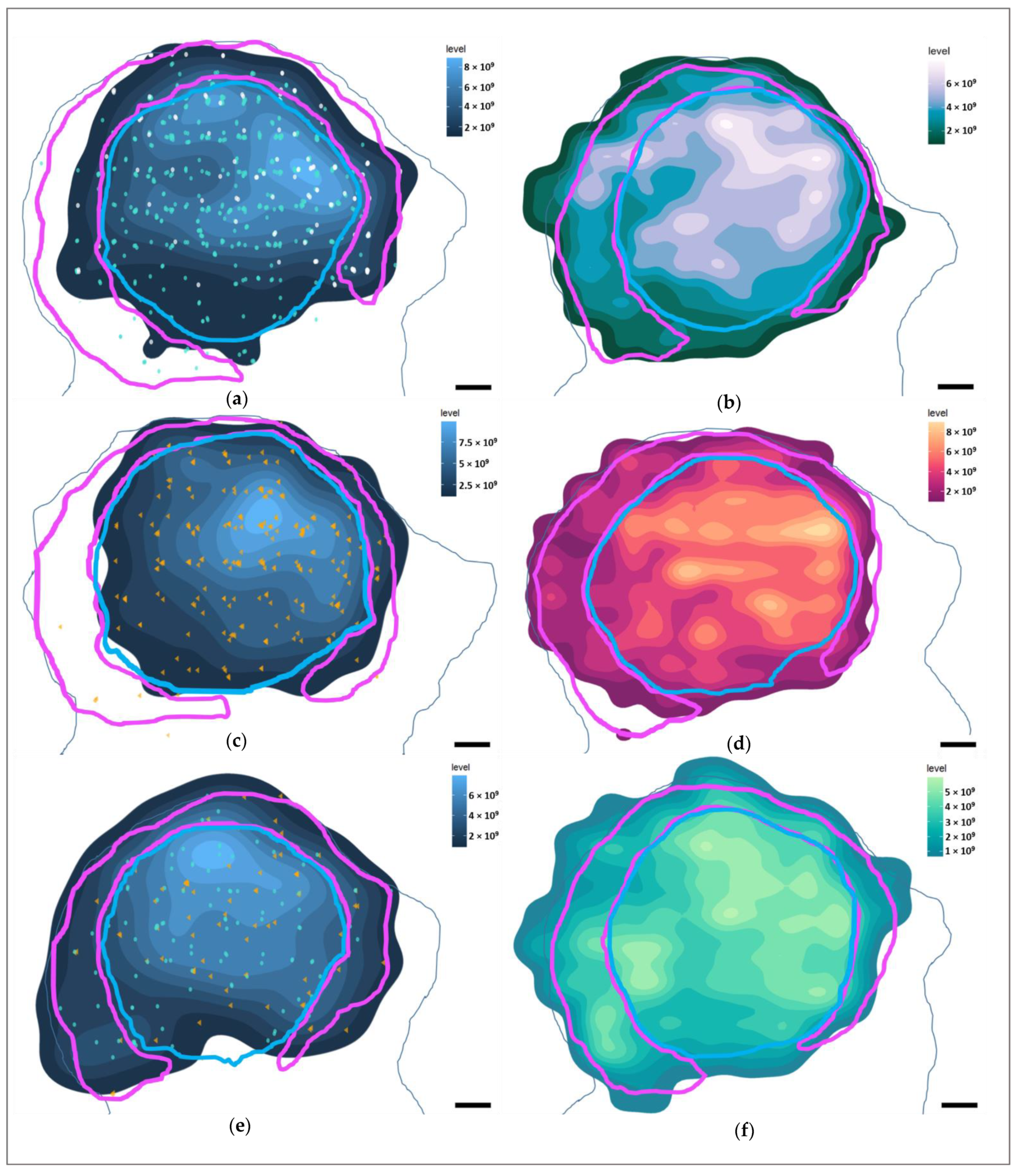 Vetsci 09 00692 g008