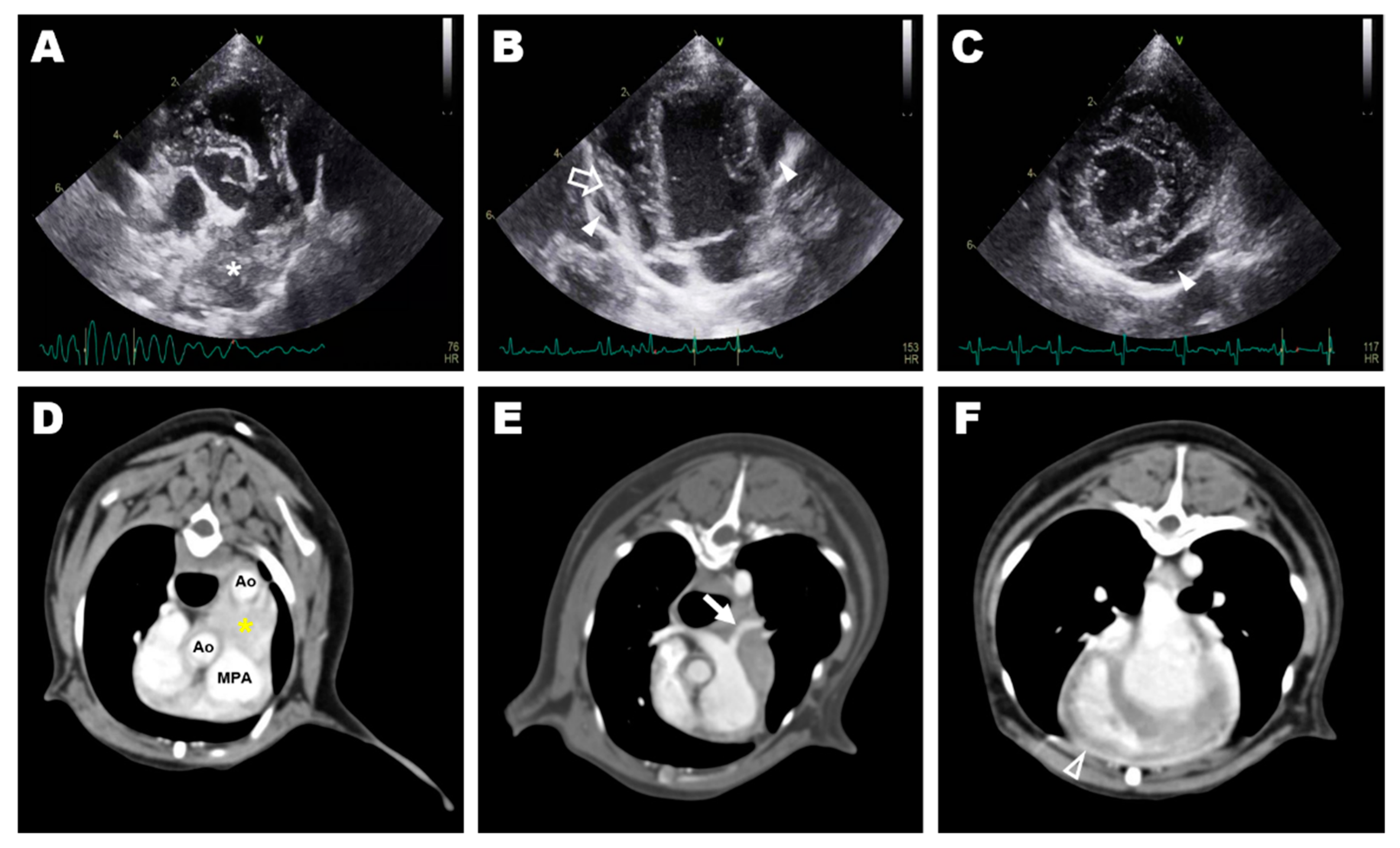 Vetsci 09 00694 g001