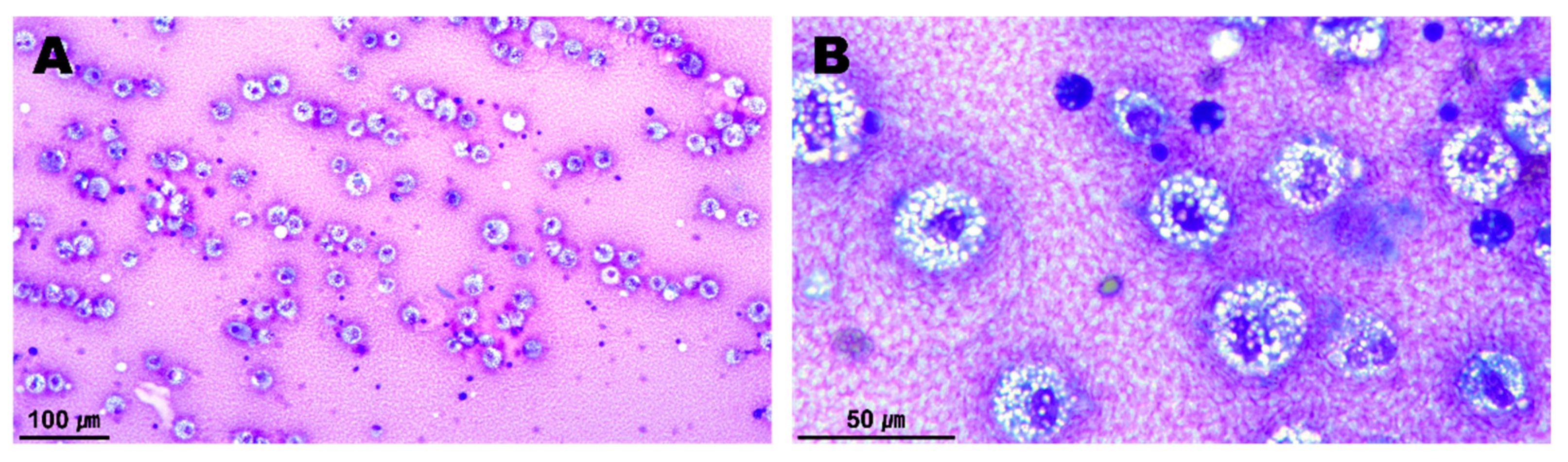 Vetsci 09 00694 g003