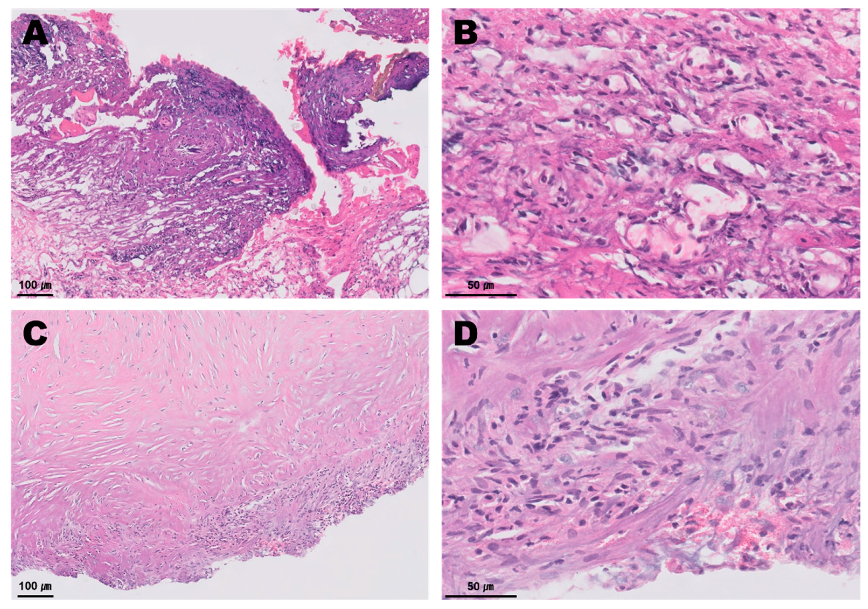 Vetsci 09 00694 g004