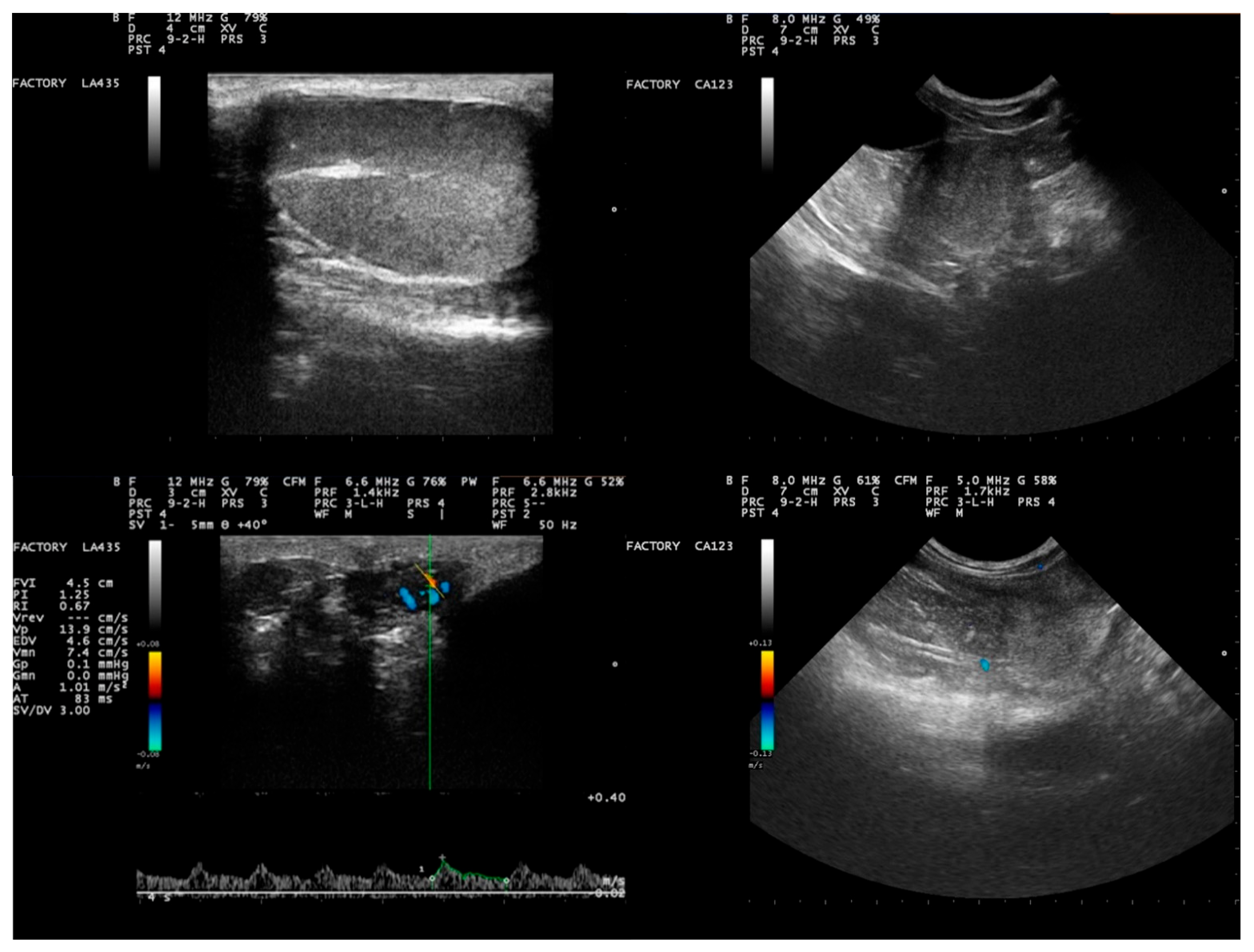 Veterinary Sciences Free Full-Text Proteomics Evaluation of Semen of Clinically Healthy Beagle-Breed Dogs