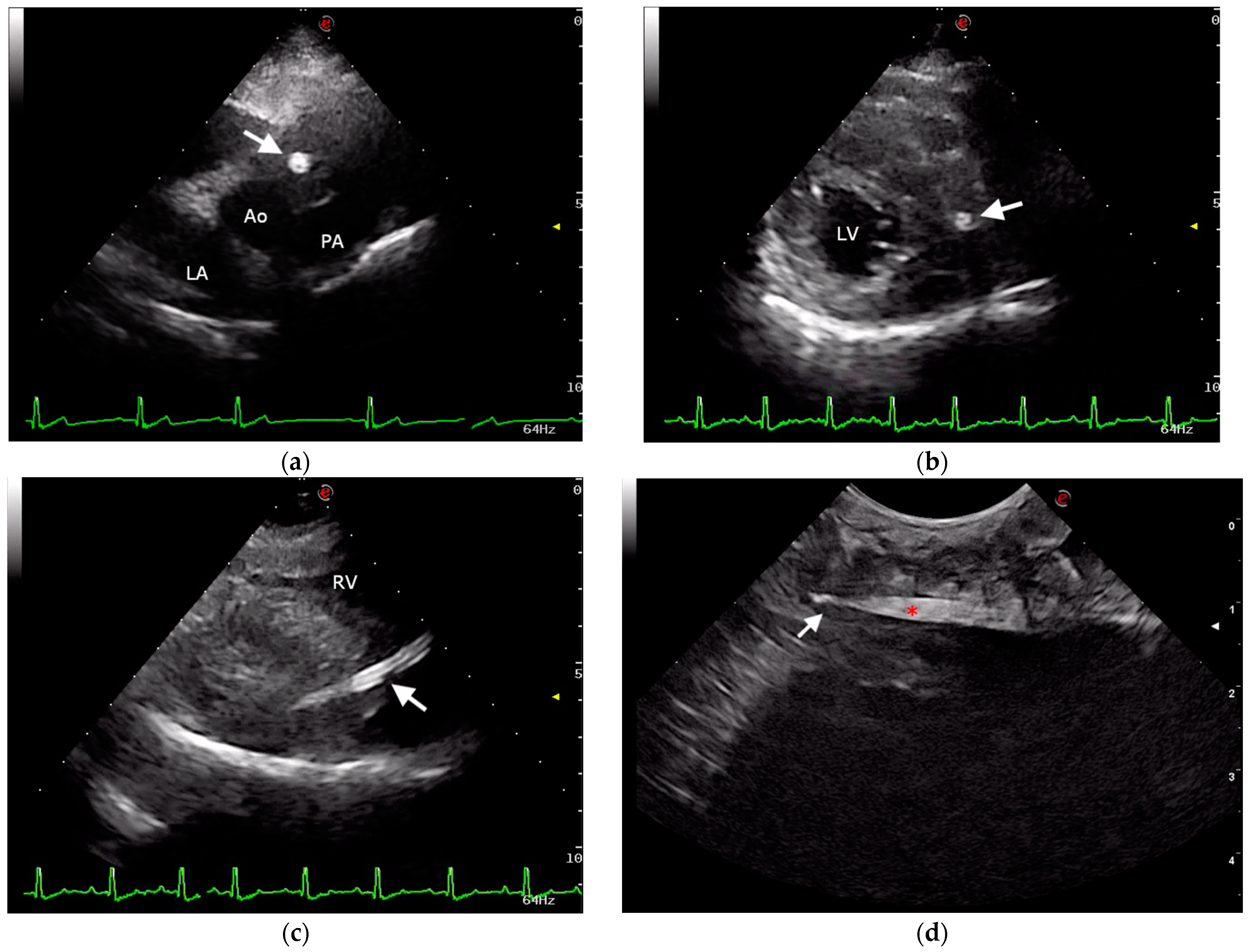 Vetsci 09 00700 g002
