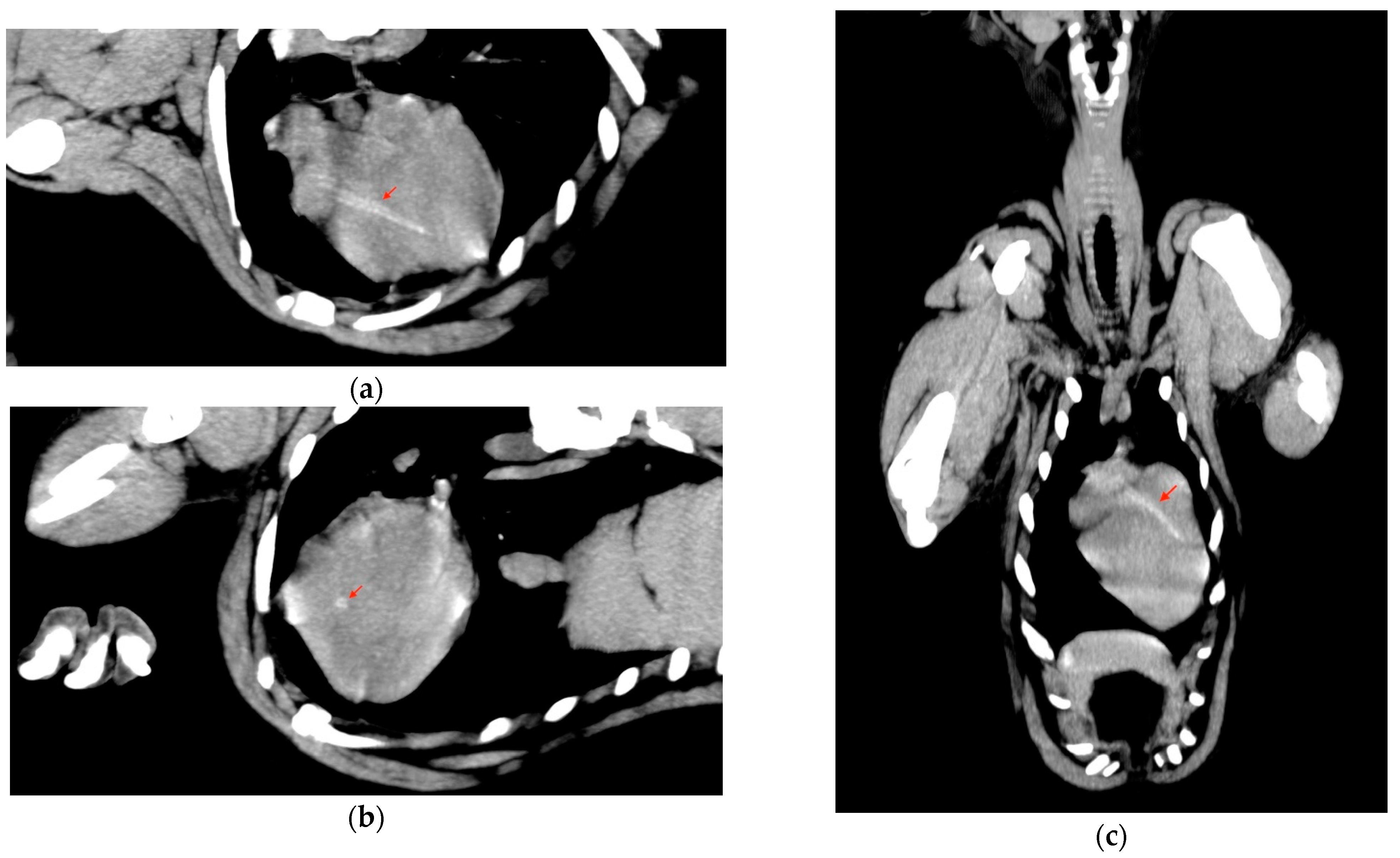 Vetsci 09 00700 g003