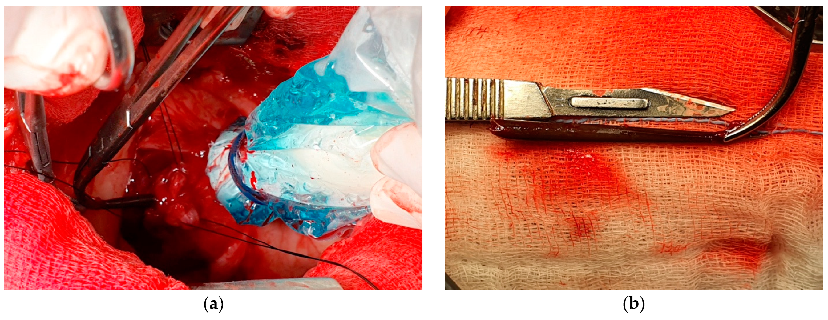 Vetsci 09 00700 g005