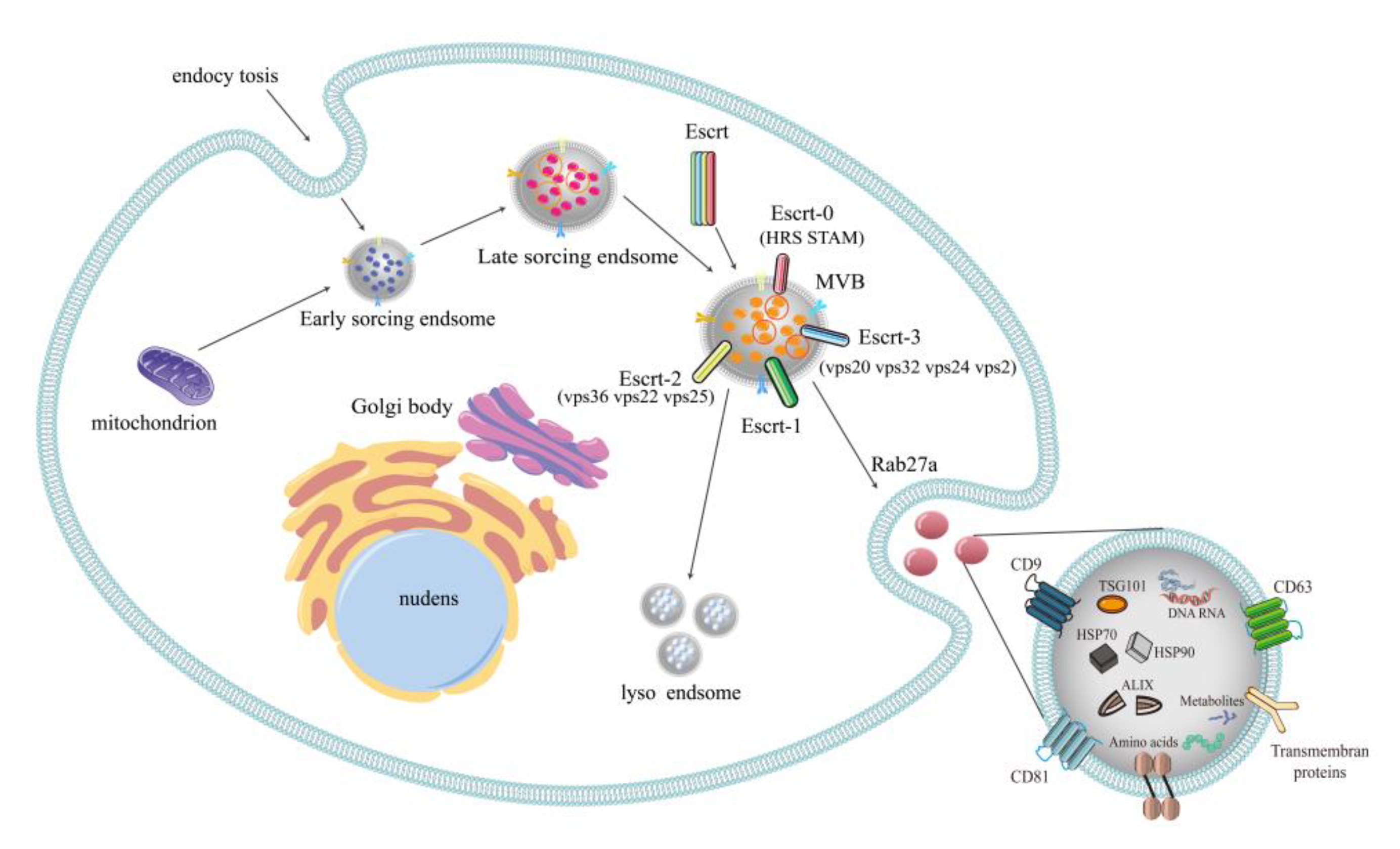 Vetsci 09 00706 g001